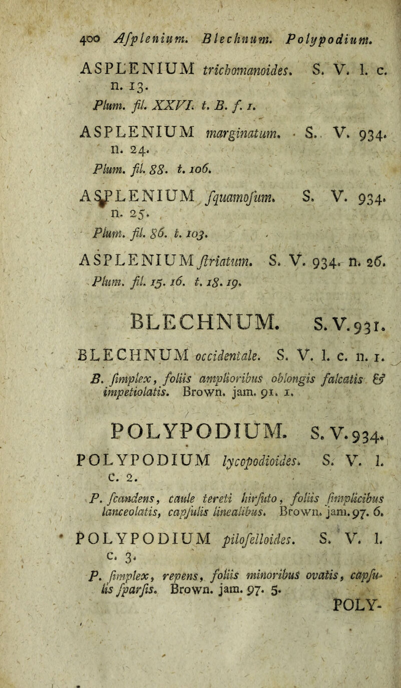 ASPLENIUM trichomanoides. S. V* 1. c. n. 13. Pium. fit. XXVI. t. B. f. /. ASPLENIUM marginatum. • S., V. 934» 11* 24. Pium. fil. 88- 1.106. AyLENIUM fquamofum. S* V* 934» n. 25. , Pium. fil. 86. i-103. ASPLENIUM JlHatum. S* V. 934, n* 26. Pium. fil. 15.16. 1.18- /p» BLECHNUM. s.V.93r. BLECHNUM -occidentdle. S* V. L c. n. 1* B. fimplex, foliis amplioribus , oblongis falcatis 6? impetiolatis. Brown. jam. 91. 1. POLYPODIUM. s.V.934. POLYPODIUM lycopodioides. S. V. L c. 2. P. fcmdens, tereti liirfuto, /o/«s fmplicibus lanceo latis ^ capfulis linealibus. Brown» jam. 97. 6. • POLYPODIUM pilofelloides. S. V. L c* 3« P. fimplex, repens, /b/zly minoribus ovalis, capfu* lis fparfis. Brown. jam. 97. 5. POLY-