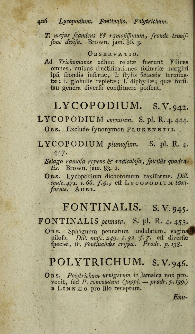 4o5 Lycopodium. Fontinalis. Polytrichnm. T. majus fcandens 6? ramofijfimum, fronde tenuif fime divifa. Brown. jam. 86. 3. Observatio. Ad Trichomanes adhuc relatae fuerunt Filices | omnes, quibus fructificationes folitariae margini I ipfi frondis infertae, 1. ftylis fetaceis termina- I tae; 1. globulis repletae; 1. diphyllae; quae forfi- t tan genera diverfa confiituere poffent. LYCOPODIUM. S.V.942. LYCOPODIUM cernuum. S. pl. R.4.444. Obs. Exclude fynonymon Plukenetii. LYCOPODIUM plumofum. S. pl. R. 4. 447- Selago ramofa repens & radiculofa, fpicillis quadra- tis. Brown. jam. 83. 1. Obs. Lycopodium dichotomum taxiforme. DHL mufc. 471. t.66. fg.f eft Lycopodium taxi- forme. Aubl. FONTINALIS. S.V.945. FONTINALIS pennata. S. pl. R. 4. 453. Obs. Sphagnum pennatum undulatum, vagin^P pilofa. DHL mufc. 24.9. t. 92. f. 7. efi diverfae fpeciei, fc. Fontinalidis crijpce. Prodr. p. 138. POLYTRICHUM. S.V.946. Obs. Polytrichnm urnigerwn in Jamaica non pro- venit , fed P. convolutum (fuppl. — prodr. p. 139.) a Linn^o pro illo receptum. Emi*