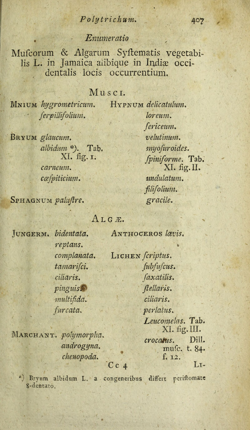 P olytrichum. Enumeratio 407 Mufcorum & Algarum Syftematis vegetabi- lis L. in Jamaica aiibique in Indiae occi- dentalis locis occurrentium. Musci. Mnium hygrometricum. Hypnum delicatnlum. ferpillifolium. Bryum glaucum. albidum *). Tab. XI. fig. 1. carneum, ccefpiticium. Sph agnum pakfire, loreum, fericeum. velutinum. myofiuroides. fpiniforme. Tab. XI. fig. II. undulatum. filifiolium. gracile. Jungerm. bidentata. reptans. complanata. tamarifci. ciliaris., pinguis0 multifida, /areata. Marchant. polymorpha. androgyna. chenopoda. ALG iE. Anthoceros Lichen feriptus. fubfufcus. faxatilis. * */ fiellans. ciliaris. perlatus. Leucomelas. Tab. XI. fig. III. crocatus. Dill. mufe. t. 84« f. 12. C c 4 Li- *■) Bryum albidum L, a congeneribus differt periftomate 8-dentato.