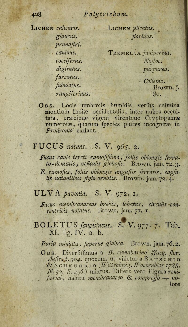 Lichen c alie avis, glaucus, prunafiri. . caninus, cocciferus. digitatus, furcatus. fubulatus. rangiferinus. Lichen plicatus, floridus. Tremella junip crina. Noftoc. purpurea. Collema. Brown. j. 80. Obs. Locis umbro fis humidis verfus culmina montium Indiae occidentalis , inter nubes occul- tata, praecipue vigent virentque Cryptogama®. numeroffe, quarum fpecies plures incognitae in Prodromo exftant. FUCUS natans. S. V. 965. 2. Fucus caule tereti ramofijjimo, foliis oblongis ferra- to - dentatis, veficulis globo fis. Brown. jam. 72.3. F. ramofus, foliis oblongis angufiis ferratis, capfu- lis natantibus ftylo ornktis. Brown. jam. 72. 4. ULVA pavonia. S. V. 972. 1. Fucus membranaceus brevis, lobatus, circulis-con- centricis notatus. Brown. jam. 71. x. BOLETUS fmguineus. sT V. 977. 7. Tab. XI. fig. IV. a b. Poria miniata, fuperne glabra. Brown. jam. 76.2. Ons. Diverfiffimus a B. cinnabarim ffacq. flor. j/luflr*j.304. quocum, ut videtur a B a ts c hio '&Schkuhrio (JVitteubefg, Wochenblat i?88» N. 32. S. 236.) mixtus. Differt vero Figura reni- formi, habitu membranaceo & comprejjo —r- co- lore