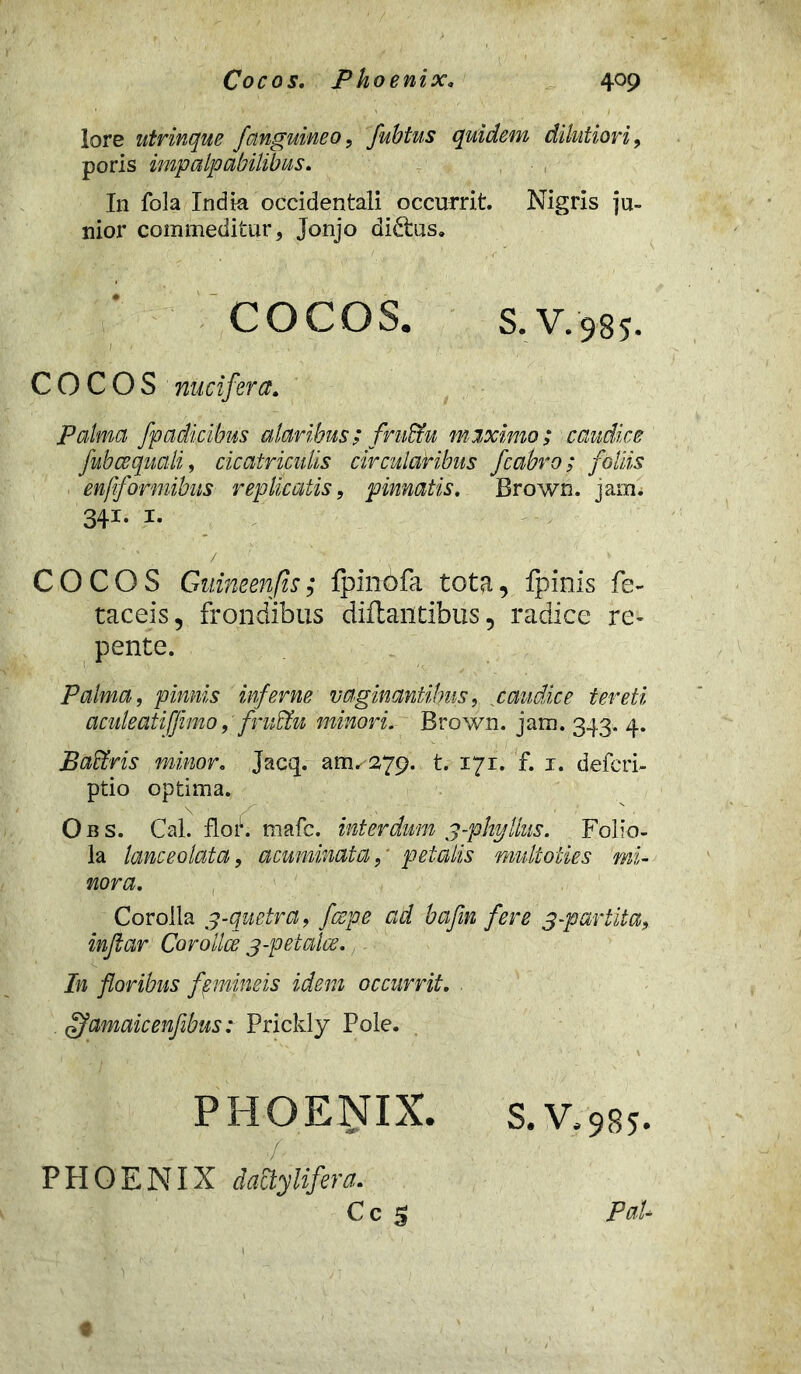 lore ntrinque /anguineo, flubtus quidem dilutiori, poris impalpabilibus. In fola India occidentali occurrit. Nigris ju- nior commeditar, Jonjo di&us. COCOS. S.V.985. COCOS nucifera. Palma fpadicibus alaribus; fru&u maximo; caudice fub ce quali, cicatriculis circularibus fcabro; foliis enflformibus replicatis, pinnatis. Brown. jam. 341- 1- COCOS Guineenfis; fpinofa tota, ipinis fe- taceis, frondibus diftaiitibus, radice re- pente. Palma, pinnis inferne vaginantibus, caudice tereti aculeatifjimo, frudtu minori. Brown. jam. 343. 4. Baffiris minor. Jacq. am. 279. t. 171. f. 1. defcri- ptio optima. O b s. Cal. flor. mafc. interdum 3-phyIlus. Folio- la lanceo lata, acuminata,' petalis multoiies mi- nora. Corolla 3-quetra, fcepe ad bafin fere 3-partita, injlar Corollae 3-p et alce. In floribus femineis idem occurrit. gfamaicenfebus: Prickly Pole. PHOENIX. S. V»98y. J- PHOENIX dattylifera. Cc S PaU