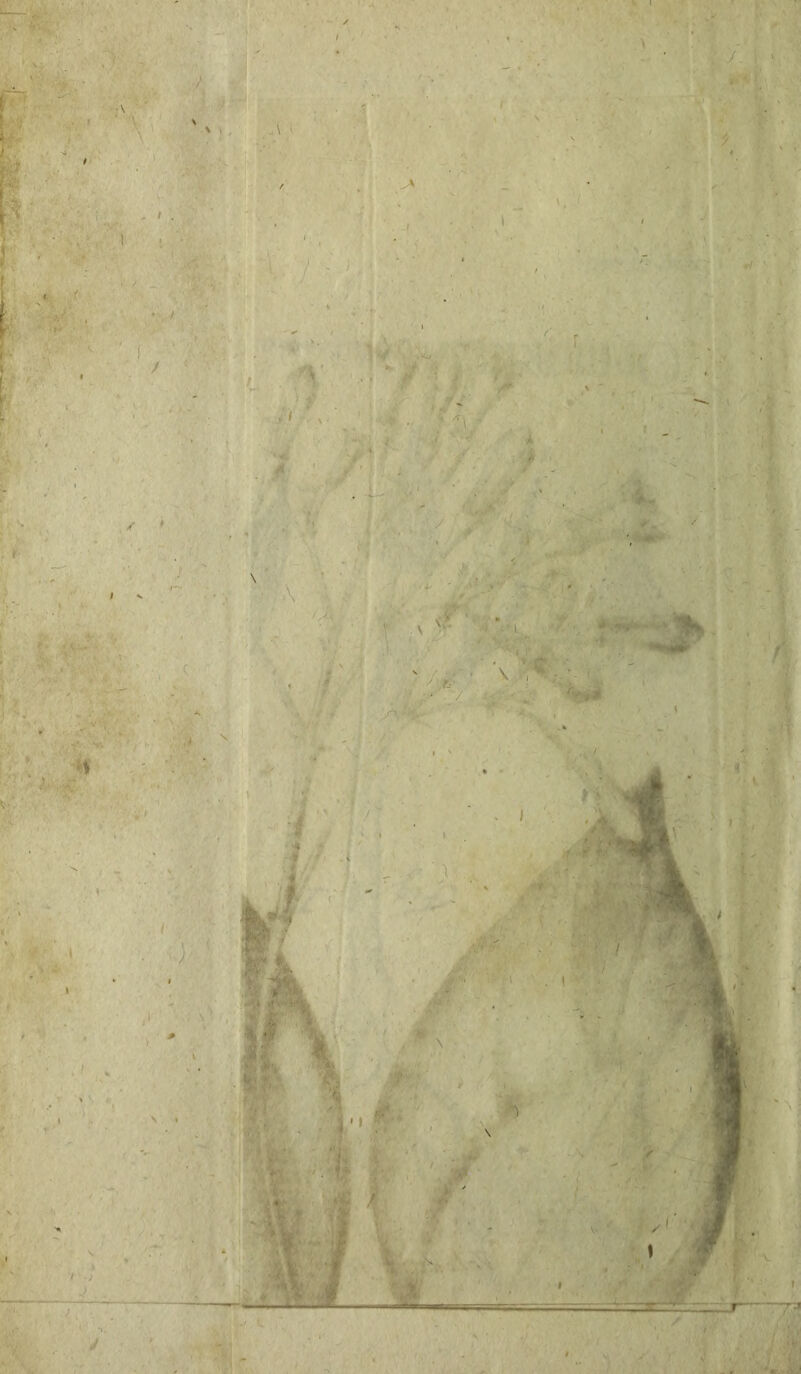 /. \ % \ 7 ~ J . ^ •/ . f ^  / f: ' \ I * ; -  ■ 1 . :