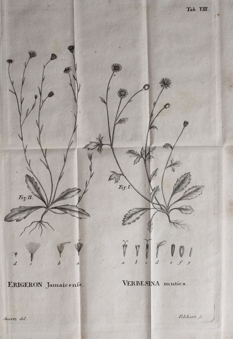 URIGERON Ja.ma.ic e Jie£VKi% dei. ZoZciart T'Sn