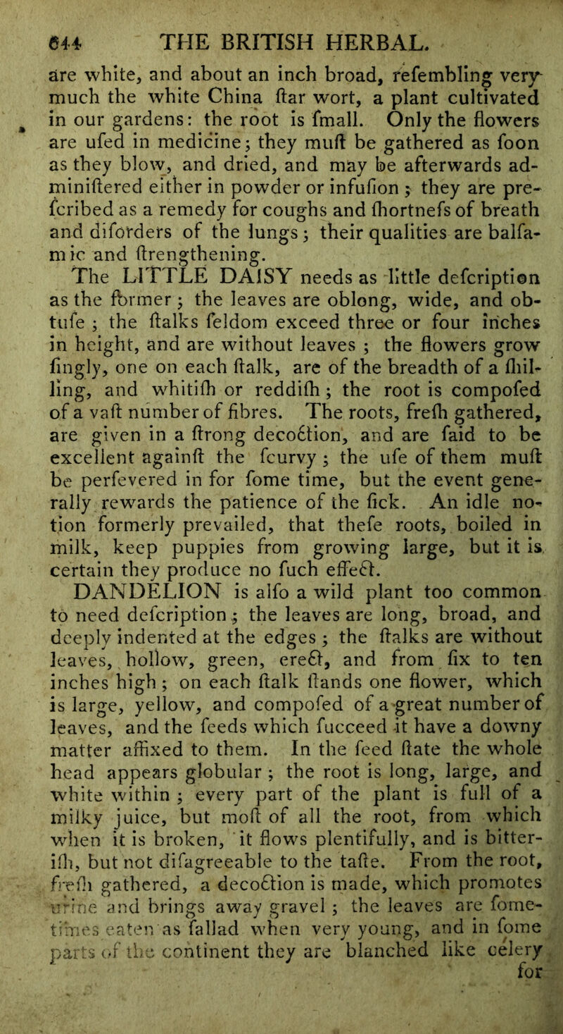 are white, and about an inch broad, refembling very much the white China ftar wort, a plant cultivated in our gardens: the root is fmall. Only the flowers are ufed in medicine; they mufl: be gathered as foon as they blow, and dried, and may be afterwards ad- miniilered either in powder or infufion ; they are pre- fcribed as a remedy for coughs and fhortnefs of breath and diforders of the lungs; their qualities are balfa- mic and ftrengthening. The LITTLE DAISY needs as little defcription as the former; the leaves are oblong, wide, and ob- tufe ; the ftalks feldom exceed three or four inches in height, and are without leaves ; the flowers grow fingly, one on each flalk, are of the breadth of a fliib ling, and whitifh or reddifh ; the root is compofed of a vaft number of fibres. The roots, frefh gathered, are given in a ftrong deco£tion, and are faid to be excellent againfl: the fcurvy ; the ufe of them mufl: be perfevered in for fome time, but the event gene- rally re w^ards the patience of the fick. An idle no^ tion formerly prevailed, that thefe roots, boiled in milk, keep puppies from growing large, but it is, certain they produce no fuch effe^l. DANDELION is alfo a wild plant too common to need defcriptionthe leaves are long, broad, and deeply indented at the edges ; the ftalks are without leaves, hollow, green, ere6f, and from fix to ten inches high; on each flalk Hands one flower, which is large, yellow, and compofed of a great number of leaves, and the feeds which fucceed it have a downy matter affixed to them. In the feed flate the whole head appears globular ; the root is long, large, and white within ; every part of the plant is full of a milky juice, but moft of all the root, from which wdien it is broken, 'it flows plentifully, and is bitter- ifo, but not difagreeable to the tafle. From the root, frefli gathered, a deco6tion is made, which promotes urine and brings away gravel ; the leaves are fome- times eaten as fallad when very young, and in fome parts (‘f the continent they are blanched like celery for