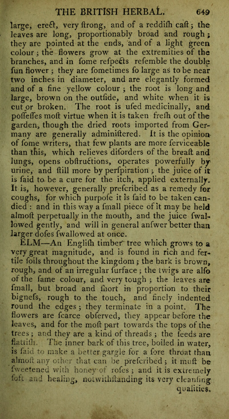 large, ereft, very ftrong, and of a reddifli caft; the leaves are long, proportionably broad aad rough ; they are pointed at the ends, 'and of a light green colour; the flowers grow at the extremities of the branches, and in fome refpe^ls refemble the double fun flower ; they are fometimes fo large as to be near two inches in diameter, and are elegantly formed and of a fine yellow colour 3 the root is long and large, brown on the outfide, and white when it is cut or broken. The root is ufed medicinally, and poflefles moft virtue when it is taken frefh out of the garden, though the dried roots imported from Ger- many are generally adminiftered. It is the opinionr of fome writers, that few plants are more ferviceablc than this, which relieves diforders of the bread an'd lungs, opens obftru^tions, operates powerfully by urine, and ftill more by perfpiration ; the juice of it is faid to^ be. a cure for the itch, applied externally. It is, however, generally preferibed as a remedy for coughs, for which purpofe it is faid to be taken can- died : and in this way a fmall piece of it may be held almod perpetually in the mouth, and the juice fwal- lowed gently, and will in general anfwer better than larger dofes fwallowed at once. ELM—An Englifli timber tree which grows to a very great magnitude, and is found in rich and fer-* tile foils throughout the kingdom ; the bark is brown, rough, and of an irregular furface ; the twigs are alfo of the fame colour, and very tough ^ the leaves are fmall, but broad and fliort m proportion to their bignefs, rough to the touch, and finely indented round the edges ; they terminate in a point. The flowers are fcarce obferved, they appear before the leaves, and for the moft part towards the tops of the trees; and they are a kind of threads; the feeds are fiattifli. The inner bark of this tree, boiled in water, is faid to make a better gargle for a fore throat than almoft any other t’nat can be preferibed; it muft be fweetened with honev'of lofes ; and it is extremely foU and healing, noivvitliftanding its very cleanfing qualities.