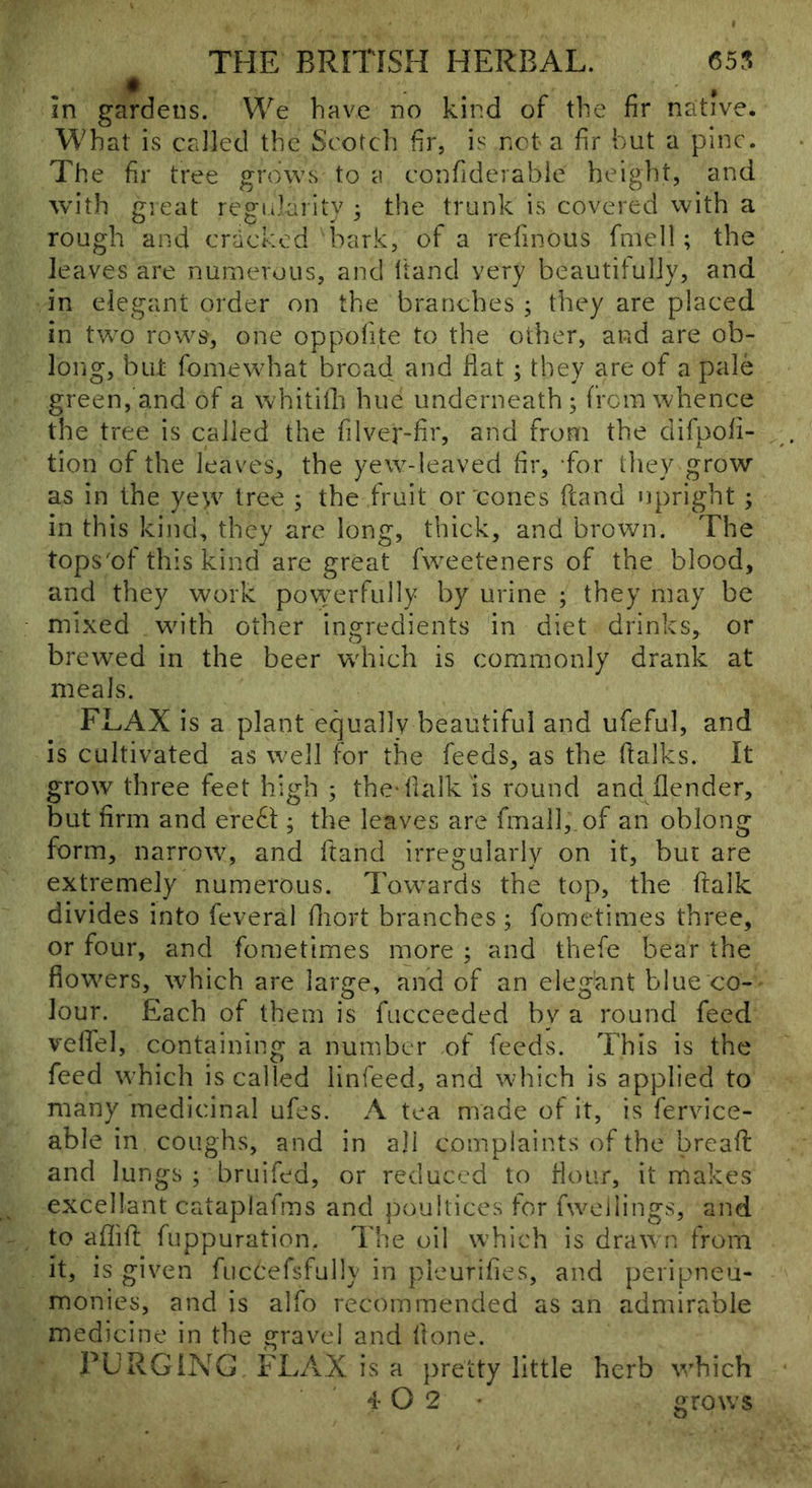 in gardens. We have no kind of the fir native. What is called the Scotch fir, is not a fir hut a pine. The fir tree grows to a confideiabie height, and w’ith great regiiJaiity ; t!ie trunk is covered with a rough and cracked bark, of a relinous fmell; the leaves are numerous, and Itancl very beautifully, and in elegant order on the branches ; they are placed in two rows, one oppofite to the other, and are ob- long, but fomewhat broad and fiat; they are of a pale green, and of a whitiih hue underneath; from whence the tree is called the filver-fir, and from the difpoli- tion of the leaves, the yew-leaved fir, for lliey grow as in the yew tree ; the fruit or'cones hand upright; in this kind, they are long, thick, and brown. The tops'of this kind are great fweeteners of the blood, and they work pov^'Crfully by urine ; they may be mixed with other ingredients in diet drinks, or brewed in the beer which is commonly drank at meals. FLAX is a plant equally beautiful and ufeful, and is cultivated as w'ell for the feeds, as the fialks. It grow three feet high ; the-fialk is round and flender, but firm and ere6l; the leaves are fmall,.of an oblong form, narrow, and ftand irregularly on it, but are extremely numerous. Towards the top, the ftalk divides into feveral fiiort branches ; fometimes three, or four, and fometimes more ; and thefe bear the flowers, which are large, and of an eleg'ant blue co- lour. Each of them is fiicceeded by a round feed velhel, containing a number of feeds. This is the feed which is called iinfeed, and which is applied to many medicinal ufes. A tea made of it, is fervice- able in coughs, and in aji complaints of the breafi: and lungs ; bruifed, or reduced to flour, it makes excellant cataplalms and poultices for fwellings, and to aflifi; fuppuration. The oil which is drawn from it, is given fucCefsfully in pleurifies, and peripneu- monies, and is alfo recommended as an admirable medicine in tlie gravel and fione. PURGING FLAX is a pretty little herb which