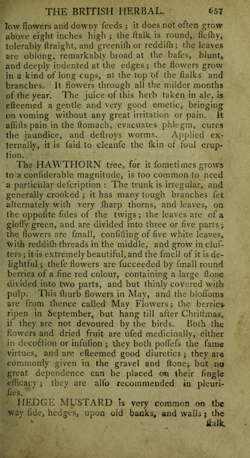 low flowers and downy feeds ; it does not often grow above eight inches high ; the ftalk is round, flefliy, tolerably flraight, and greenifli or reddifli; the leaves are oblong, remarkably broad at the bafes, blunt, and deeply indented at the edges; the flowers grow in a kind of long cups, at the top *of the flalks and branches. It flowers through all the milder months of the year. The juice of this herb taken in ale, is efteemed a gentle and very good emetic, bringing- on voming without any great irritation or pain. It aflifls pain in the ftomach, evacuates phlegm, cures the jaundice, and deftroys worms. Applied ex- ternally, it is faid to cleanfe the fkin of foul erup- tion. The HAWTHORN tree, for it fometimes grows to a confiderable magnitude, is too common to need a particular defeription : The trunk is irregular, and generally crooked ; it has many tough branches fet alternately with very fliarp thorns, and leaves, on the oppofite fides of the twigs; the leaves are of a glofly green, and are divided into three or five parts; the flowers are fmall, confiding of five white leaves, with reddifli threads in the middle, and grow in cluf- ters; it is extremely beautiful, and the fmell of it is de- lightful ; thefe flowers are fucceeded by fmall round berries of a fine red colour, containing a large done divided into two parts, and but thinly covered with pulp. This fliurb flowers in May, and the bloflbms are from thence called May Flowers; the berries- ripen in September, but hang till after Chrillmas, if they are not devoured by the birds. Both the, flowers and dried fruit are ufed medicinally, either in deco£lion or infufion ; they both pofiTefs the fame virtues, and are efteemed good diuretics; they are commonly given in the gravel and done; but no great dependence can be placed on their Angle eflicacy; they are alfo recommended in pleuri- fies. - HEDGE MUSTARD is very common on the way fide, hedges, upon old banks, and walls j the italk