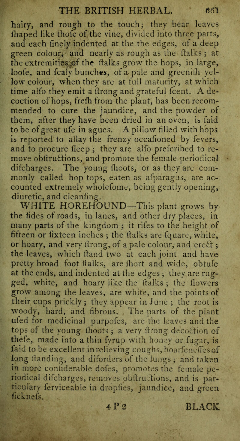 hairy, and rough to the touch; they bear leaves iliaped like thofe of the vine, divided into three parts, and each finely indented at the the edges, of a deep green colour^^ and nearly as rough as the ftalks ; at the extremities^of the ftalks grow the hops, in large, loofe, and fcaly bunches, of a-pale and greeniOi yel- low colour, when they are at full maturity, at which time alfo they emit a ftrong and grateful fcent. A de- coction of hops, frefh from the plant, has beenrecom* mended to cure the jaundice, and the powder of them, after they have been dried in an oven, is faid to be of great ufe in agues. A pillow filled with hops is reported to allay the frenzy occafioned by fevers, and to procure fleep; they are alfo prefcribed to re- move obftru6tions, and promote the female periodical difcharges. The young Oioots, or as they are com- monly called hop tops, eaten as afparagiis, are ac- counted extremely whoiefome, being gently opening, diuretic, and cleanfing. WHITE HOREHOUND—This plant grows by the fides of roads, in lanes, and other dry places, in many parts of the kingdom ; it rifes to the heiglit of fifteen or fixteen inches ; the (talks are fquare, white, or hoary, and very llrong, of a pale colour, and erect; the leaves, which hand two at each joint and have pretty broad foot (lalks, are ihort and wide, obtufe at the ends, and indented at the edges ; they are rug- ged, white, and hoary like the (talks ; the flowers grow among the leaves, are white, and the points of their cups prickly; they appear in June ; the root is woody, hard, and fibrous. The parts of the plant ufed for medicinal purpofes, are the leaves and the tops of the young flioots ; a very ftrong decottion of thefe, made into a thin fyrup with honey or fugar, is faid to be excellent in relieving coughs, hoarfeneffesof long handing, and diforders of the iun<gs ; and taken in more coniiderable dofes, promotes the female pe- riodical difcharges, removes obhrurtions, and is par- ticulary ferviceable in droplies, jaundice, and green ' hcknefs,