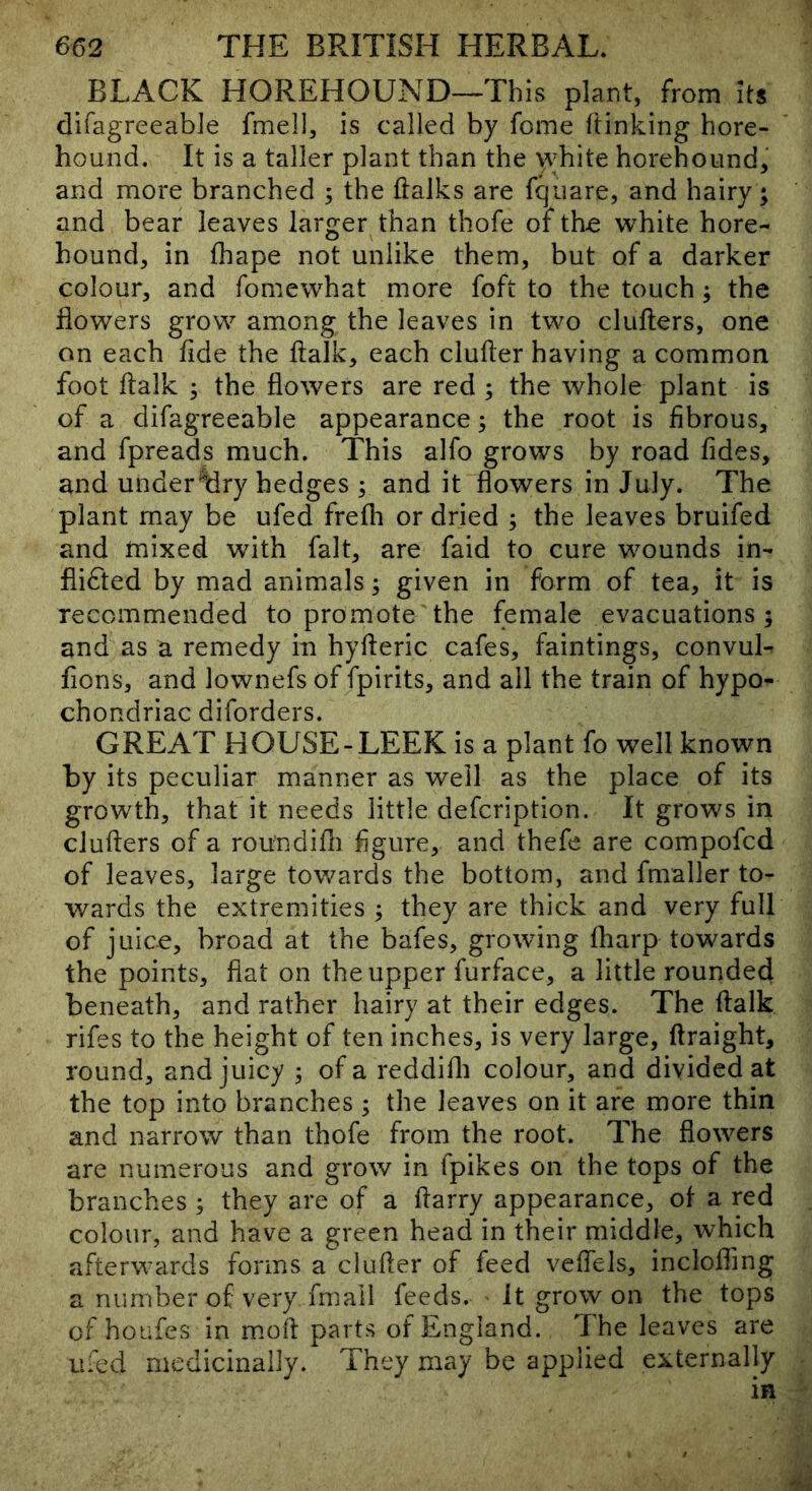 BLACK HOREHOUND->This plant, from its difagreeable fmell, is called by feme Itinking hore- hound. It is a taller plant than the white horehoiind, and more branched ; the lialks are fquare, and hairy; and bear leaves larger than thofe of tho white hore- hound, in fliape not unlike them, but of a darker colour, and fomewhat more foft to the touch; the flowers grow among the leaves in two clufters, one on each fide the ftalk, each clufier having a common foot ftalk ; the flowers are red ; the whole plant is of a difagreeable appearance; the root is fibrous, and fpreads much. This alfo grows by road fides, and under^dry hedges ; and it flowers in July. The plant may be ufed frefli or dried ; the leaves bruifed and mixed with fait, are faid to cure wounds in- flifted by mad animals; given in form of tea, it is recommended to promote the female evacuations; and as a remedy in hyfteric cafes, faintings, convul- fions, and lownefs of fpirits, and all the train of hypo- chondriac diforders. GREAT HOUSE-LEEK is a plant fo well known by its peculiar manner as well as the place of its growth, that it needs little defeription. It grows in clufters of a rou’ndifti figure, and thefe are compofed of leaves, large towards the bottom, and fmaller to- wards the extremities ; they are thick and very full of juice, broad at the bafes, growing lharp towards the points, fiat on the upper furface, a little rounded beneath, and rather hairy at their edges. The ftalk rifes to the height of ten inches, is very large, ftraight, round, and juicy ; of a reddifli colour, and divided at the top into branches; the leaves on it are more thin and narrow than thofe from the root. The flowers are numerous and grow in fpikes on the tops of the branches ; they are of a ftarry appearance, ot a red colour, and have a green head in their middle, which afterwards forms a clufter of feed veftels, inclofling a number of very fmail feeds. It grow on the tops ofhoufes in moft parts of England. The leaves are iiled medicinally. They may be applied externally in