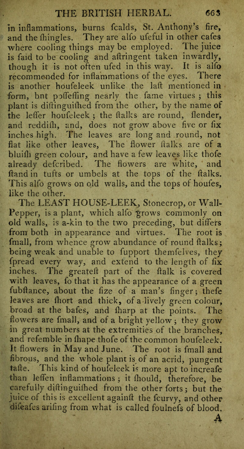 In inflammations, burns fcalds, St. Anthony’s fire, and the flungles. They are alfo ufeful in other cafes where cooling things maybe employed. The juice is faid to be cooling and aftringent taken inwardly, though it is not often ufed in this way. It is alfo recommended for inflammations of the eyes. There is another houfeleek unlike the lafi; mentioned in form, bnt poflefling nearly the fame virtues ; this plant is diftinguiflied from the other, by the name of the leffer houfeleek ; the flalks are round, flender, and reddifli, and, does not grow above five or fix inches high. The leaves are long and round, not fiat like other leaves. The flower flalks are of a bluifli green colour, and have a few leavers like thofe already defcribed. The flowers are white, and ftand in tufts or umbels at the tops of the flalks. This alfo grows on old walls, and the tops of houfes, like the other. The LEAST HOUSE-LEEK, Stonecrop, or Wall- Pepper, is a plant, which alfo “grows commonly on old walls, is a-kin to the two preceding, but differs from both in appearance and virtues. The root is fmall, from whence grow abundance of round flalks; being weak and unable to fupport themfelves, they fpread every way, and extend to the length of fix inches. The greatefl part of the ftalk is covered With leaves, fo that it has the appearance of a green fubftance, about the fize of a man’s finger; thefe leaves are fiiort and thick, of adively green colour, broad at the bafes, and fliarp at the points. The flowers are fmall, and of a bright yellow; they grow in great numbers at the extremities of the branches, and refemble in fliape thofe of the common houfeleek. It flowers in May and June. The root is fmall and fibrous, and the whole plant is of an acrid, pungent tafle. This kind of houfeleek is more apt to increafe than leflen inflammations ; it fliould, therefore, be carefully diflinguifhed from the other forts; but the juice of this is excellent againfl the fcurvy, and other difeafes arifing from what is called foulnefs of blood. A