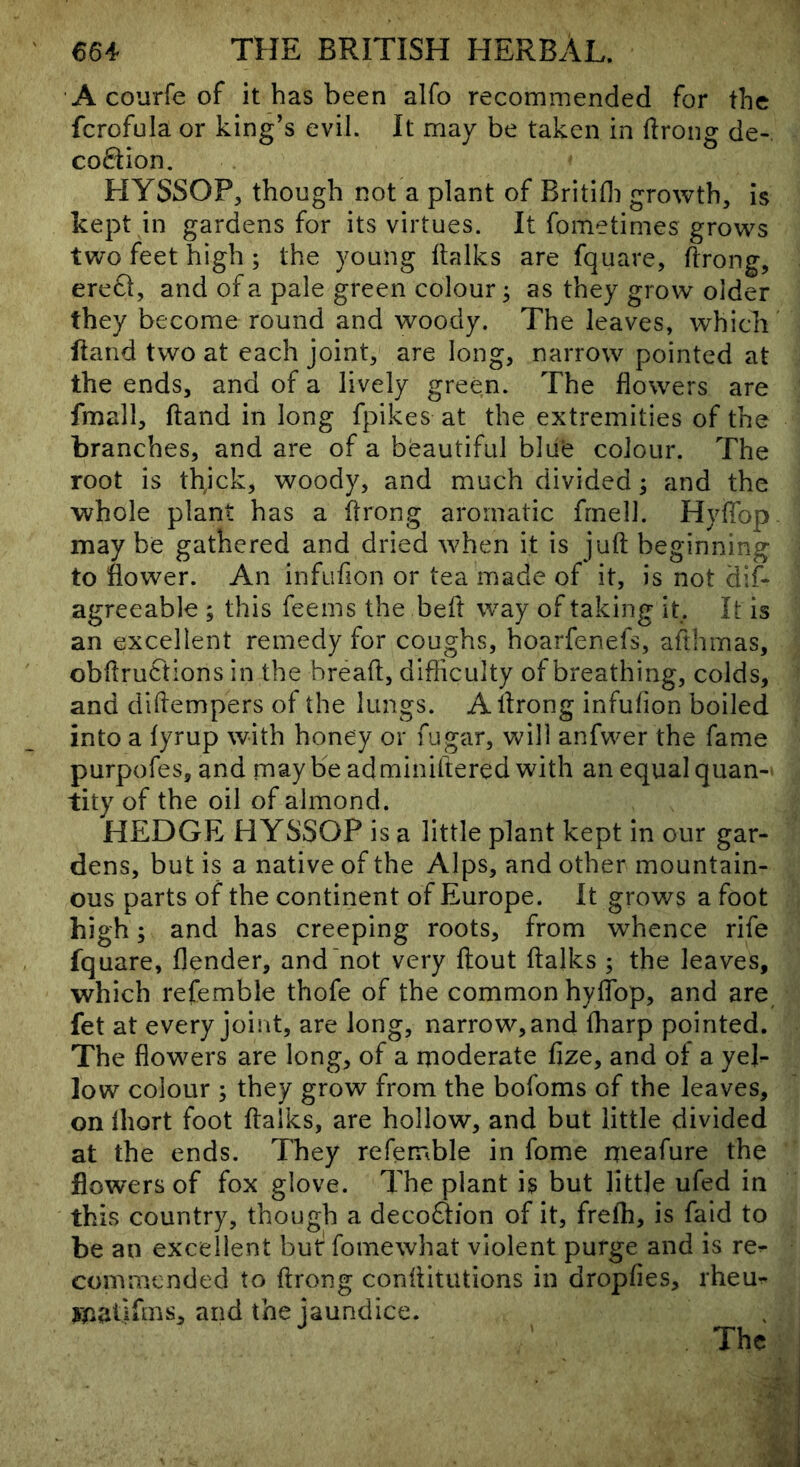 Acourfeof it has been alfo recommended for the fcrofula or king’s evil. It may be taken in ftrong de-. co6Iion. HYSSOP, though not a plant of Britifli growth, is kept in gardens for its virtues. It fometimes grows two feet high ; the young ftalks are fquare, ftrong, ere61, and of a pale green colour; as they grow older they become round and woody. The leaves, which Hand two at each joint, are long, narrow pointed at the ends, and of a lively green. The flowers are fmall, Hand in long fpikes at the extremities of the branches, and are of a beautiful blue colour. The root is thjck, woody, and much divided; and the whole plant has a flrong aromatic frnelJ. HyfTop- may be gathered and dried when it is juft beginning to flower. An infufion or tea made of it, is not dif- agreeable ; this feeins the beft way of taking it. It is an excellent remedy for coughs, hoarfenefs, afthmas, obftruCtions in the breaft, dlfiiculty of breathing, colds, and diftempers of the lungs. Aftrong infufion boiled into a lyrup with honey or fugar, will anfwer the fame purpofes, and maybe adminiftered with an equal quan- tity of the oil of almond. HEDGE H YSSOP is a little plant kept in our gar- dens, but is a native of the Alps, and other mountain- ous parts of the continent of Europe. It grows a foot high; and has creeping roots, from whence rife fquare, flender, and'not very ftout ftalks ; the leaves, which refemble thofe of the common hyffop, and are fet at every joint, are long, narrow, and fharp pointed. The flowers are long, of a moderate fize, and of a yel- low colour ; they grow from the bofoms of the leaves, on Ihort foot ftalks, are hollow, and but little divided at the ends. They refemble in fome meafure the flowers of fox glove. The plant is but little ufed in this country, though a deco£Iion of it, frefh, is faid to be an excellent butfomewhat violent purge and is re- commended to ftrong conftitutions in dropfies, rheu- ynatiflus, and the jaundice. The