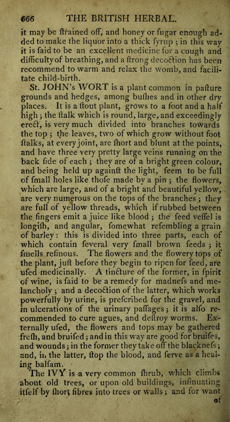 it may be ftrained off, and honey or fugar enough ad- ded to make the liquor into a thick fyriip ; in this way it is faid to be an excellent medicine for a cough and difficulty of breathing, and a ftrong decoffion has been recommend to warm and relax the womb, and facili- tate child-birth. St. JOHN’S WORT is a plant common in pafture grounds and hedges, among buffies and in other dry places. It is a ftout plant, grows to a foot and a half high; the ftalk which is round, large, and exceedingly ereft, is very much divided into branches towards the top ; the leaves, two of which grow without foot ftalks, at every joint, are ffiort and blunt at the points, and have three very pretty large veins running on the back fide of each ; they are of a bright green colour, and being held up againft the light, feem to be full of fmall holes like thofe made by a pin ; the flowers, which are large, and of a bright and beautiful yellow, are very numerous on the tops of the branches ; they are full of yellow threads, which if rubbed between the fingers emit a juice like blood 3 the feed veffel is longiffi, and angular, fomewhat refembling a grain of barley: this is divided into three parts, each of which contain feveral very fmall brown feeds ; it fmells refinous. The flowers and the flowery tops of the plant, juft before they begin to ripen for feed, are ufed medicinally. A tinfture of the former, in fpirit of wine, is faid to be a remedy for madnefs and me- lancholy ; and a decoftion of the latter, which works powerfully by urine, is prefcribed for the gravel, and In ulcerations of the urinary paflages 5 it is alfo re- commended to cure agues, and deftroy worms. Ex- ternally ufed, the flowers and tops may be gathered frefh, and bruifed; andin this way are good forbruifes, and wounds 3 in the former they take off the blacknefs; and, ill the latter, ftop the blood, and ferve as a heal- ing balfam. • The IVY is ^ very common flirub, which climbs about old trees, or upon old buildings, infinuating itfelf by ffior^ fibres into trees or walls ; and for want of