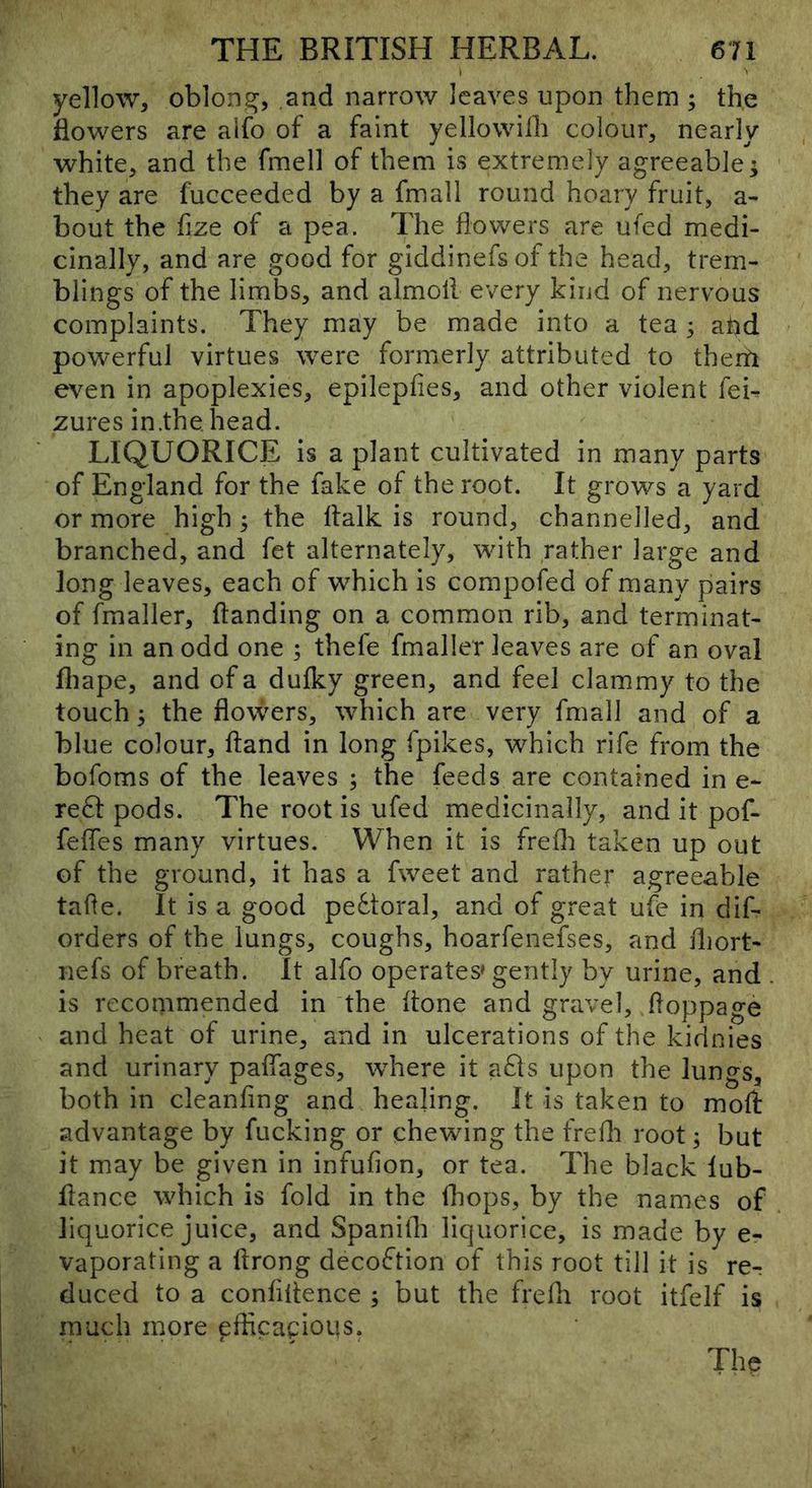 I yellow, oblong^, and narrow leaves upon them ; the flowers are aifo of a faint yellowiih colour, nearly white, and the fmell of them is extremely agreeable^ they are fucceeded by a fmall round hoary fruit, a- bout the fize of a pea. The flowers are ufed medi- cinally, and are good for giddinefs of the head, trem- blings of the limbs, and almoll every kind of nervous complaints. They may be made into a tea ; ahd powerful virtues were formerly attributed to therh even in apoplexies, epilepfies, and other violent feb zures in.the head. LIQUORICE is a plant cultivated in many parts of England for the fake of the root. It grows a yard or more high ; the llalk is round, channelled, and branched, and fet alternately, with rather large and long leaves, each of which is compofed of many pairs of fmaller, Handing on a common rib, and terminat- ing in an odd one ; thefe fmaller leaves are of an oval fliape, and of a dufky green, and feel clammy to the touch 3 the flowers, which are very fmall and of a blue colour, ftand in long fpikes, which rife from the bofoms of the leaves ; the feeds are contained in e- re6f: pods. The root is ufed medicinally, and it pof- fefles many virtues. When it is frefli taken up out of the ground, it has a fweet and rather agreeable tafle. It is a good pe6toral, and of great ufe in dif- orders of the lungs, coughs, hoarfenefses, and fliort- nefs of breath. It alfo operates'gently by urine, and is recommended in the Hone and gravel, floppage and heat of urine, and in ulcerations of the kidnies and urinary paffages, where it a61s upon the lungs, both in cleanflng and healing. It is taken to moft advantage by fucking or chewing the frefla root; but it may be given in infufion, or tea. The black lub- flance which is fold in the (hops, by the names of liquorice juice, and Spanitb liquorice, is made by e- vaporating a ftrong decoftion of this root till it is re^ duced to a confidence ; but the frefli root itfelf is much more pflicaeious. The