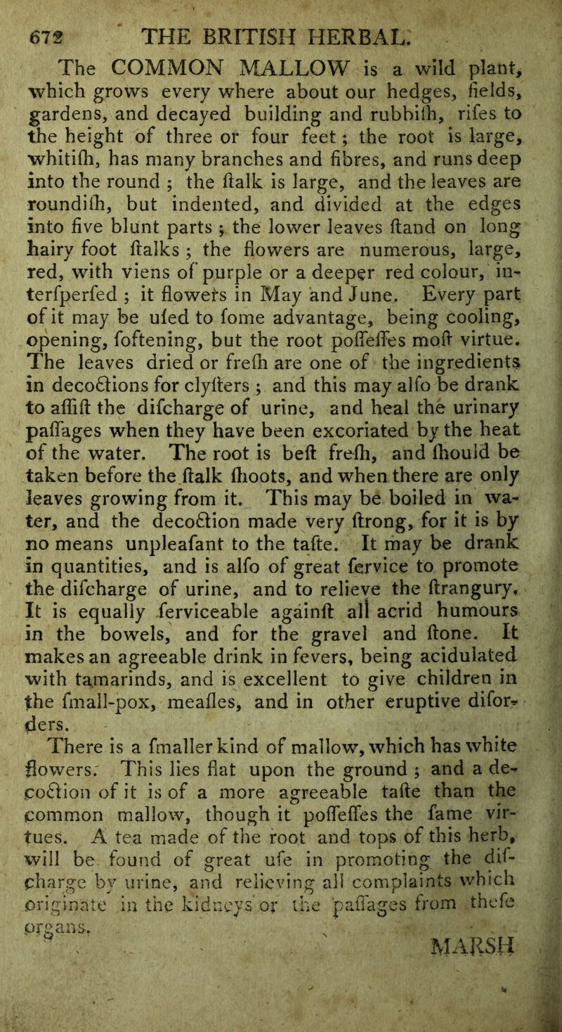 The COMMON MALLOW is a wild plant, which grows every where about our hedges, fields, gardens, and decayed building and rubbilh, rifes to the height of three or four feet; the root is large, whitifh, has many branches and fibres, and runs deep into the round ; the ftalk is large, and the leaves are roundilb, but indented, and divided at the edges into five blunt parts ; the lower leaves ftand on long hairy foot flalks ; the flowers are numerous, large, red, with viens of purple or a deeper red colour, in- terfperfed ; it flowets in May and June. Every part of it may be ufed to fome advantage, being cooling, opening, foftening, but the root pofleffes mofl virtue. The leaves dried or frefh are one of the ingredients in decoftions for clyfters ; and this may alfo be drank to aflift the difcharge of urine, and heal the urinary paflTages when they have been excoriated by the heat of the water. The root is beft frefh, and fhould be taken before the ftalk ftioots, and when there are only leaves growing from it. This may be boiled in wa- ter, and the deco6tion made very ftrong, for it is by no means unpleafant to the tafte. It may be drank in quantities, and is alfo of great fervice to promote the difcharge of urine, and to relieve the flrangury. It is equally ferviceable againft all acrid humours in the bowels, and for the gravel and ftone. It makes an agreeable drink in fevers, being acidulated with tamarinds, and is excellent to give children in the fmall-pox, meafles, and in other eruptive difor^ ders. There is a fmallerkind of mallow, which has white flowers; This lies flat upon the ground ; and a de-^ coftion of it is of a more agreeable tafte than the common mallow, though it pofleffes the fame vir- tues. A tea made of tlie root and tops of this herb, will be found of great ufe in promoting the dif- charge by urine, and relieving all complaints which originate in the kidneys or the paiTages from thefe