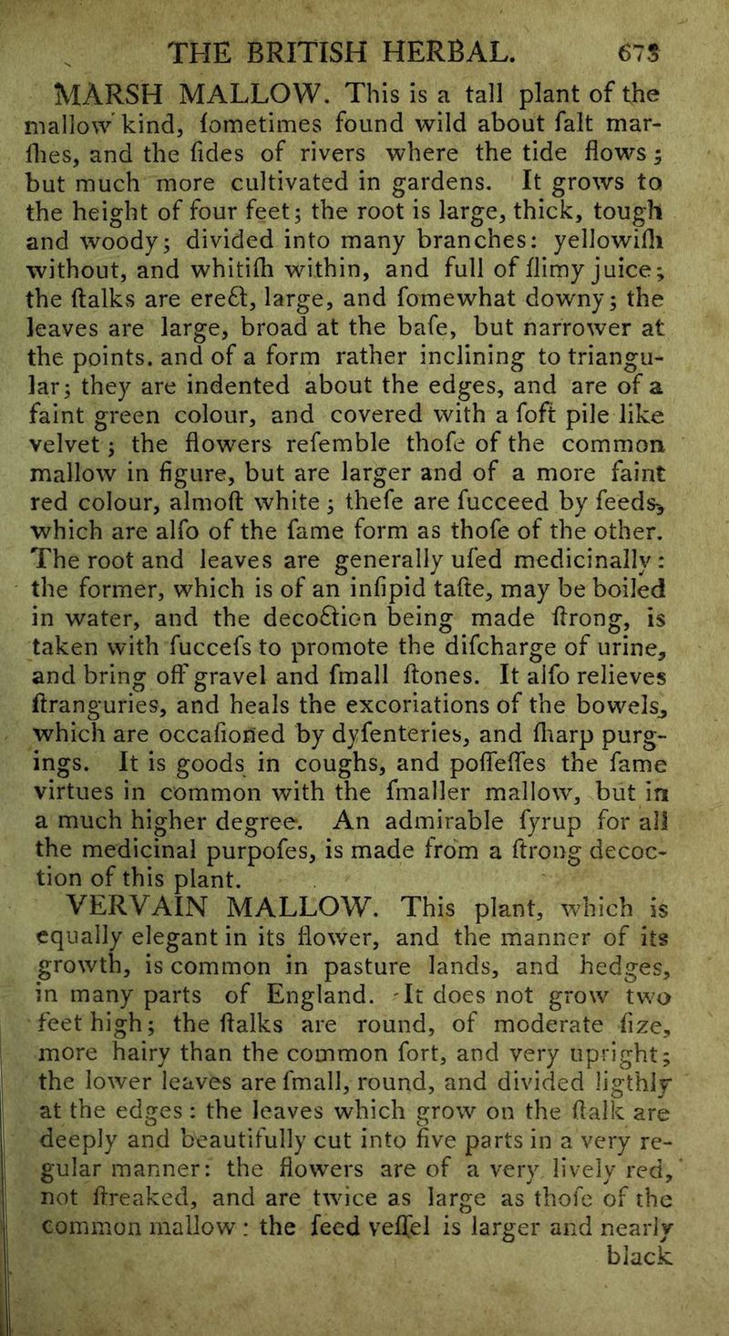 MARSH MALLOW. This is a tall plant of the mallow’kind, lometimes found wild about fait mar- flies, and the fides of rivers where the tide flows; but much more cultivated in gardens. It grows to the height of four feet; the root is large, thick, tough and woody; divided into many branches: yellowifli without, and whitith within, and full of flimy juice; the ftalks are ere61:, large, and fomewhat downy; the leaves are large, broad at the bafe, but narrower at the points, and of a form rather inclining to triangu- lar; they are indented about the edges, and are of a faint green colour, and covered with a foft pile like velvet; the flowers refemble thofe of the common mallow in figure, but are larger and of a more faint red colour, almoft white; thefe are fucceed by feeds-, which are alfo of the fame form as thofe of the other. The root and leaves are generally ufed medicinally: the former, which is of an infipid tafte, may be boiled in water, and the deco6tion being made ffrong, is taken with fuccefs to promote the difcharge of urine, and bring off gravel and fmall ffones. It alfo relieves ftranguries, and heals the excoriations of the bowels, which are occafloned by dyfenteries, and fltarp purg- ings. It is goods in coughs, and poflefles the fame virtues in common with the fmaller mallow, but in a much higher degree. An admirable fyrup for all the medicinal purpofes, is made from a ftrong decoc- tion of this plant. VERVAIN MALLOW. This plant, which is equally elegant in its flower, and the manner of its growth, is common in pasture lands, and hedges, in many parts of England. Tt does not grow two feet high; the flalks are round, of moderate flze, more hairy than the common fort, and very upright; the lower leaves are fmall, round, and divided ligthly at the edges: the leaves which grow on the flalk are deeply and beautifully cut into five parts in a very re- gular manner: the flowers are of a very lively red, not ffreaked, and are twice as large as thofe of the common mallow : the feed veflel is larger and nearly black
