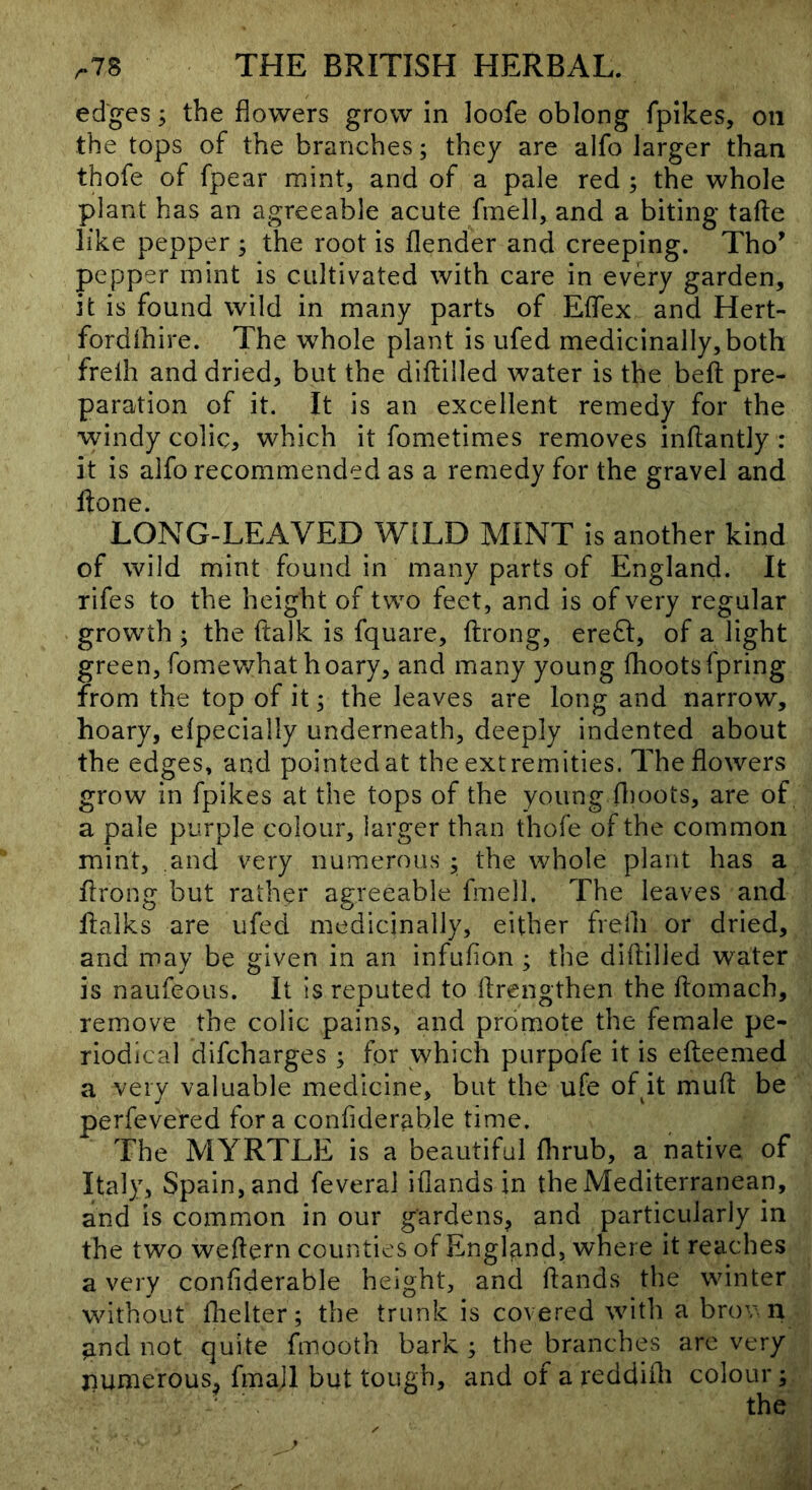 edges; the flowers grow in loofe oblong fpikes, on the tops of the branches; they are alfo larger than thofe of fpear mint, and of a pale red ; the whole plant has an agreeable acute fmell, and a biting tafte like pepper ; the root is flender and creeping. Tho’ pepper mint is cultivated with care in every garden, it is found wild in many parts of Eflex and Hert- fordlhire. The whole plant is ufed medicinally, both frelh and dried, but the diflilled water is the belt pre- paration of it. It is an excellent remedy for the windy colic, which it fometimes removes inflantly : it is alfo recommended as a remedy for the gravel and hone. LONG-LEAVED WILD MINT is another kind of wild mint found in many parts of England. It rifes to the height of two feet, and is of very regular growth ; the ftalk is fquare, ftrong, ere6l, of a light green, fomewhat hoary, and many young fhootsfpring from the top of it; the leaves are long and narrow, hoary, Specially underneath, deeply indented about the edges, and pointed at the extremities. The flowers grow in fpikes at the tops of the young fl)oots, are of a pale purple colour, larger than thofe of the common mint, and very numerous ; the whole plant has a Urong but rather agreeable fmell. The leaves and halks are ufed medicinally, either frelh or dried, and may be given in an infufion ; the diflilled water is naufeous. It is reputed to flrengthen the flomach, remove the colic pains, and promote the female pe- riodical difeharges ; for which purpofe it is efteemed a very valuable medicine, but the ufe ofpt mufl be perfevered for a confiderable time. The MYRTLE is a beautiful fhrub, a native of Italy, Spain, and feveral iflands in the Mediterranean, and is common in our gardens^ and particularly in the two weflern counties of England, where it reaches a very conflderable height, and flands the winter without fhelter; the trunk is covered with a brov n and not quite fmooth bark ; the branches are very jiumerous^ fmall but tough, and of a reddifli colour;