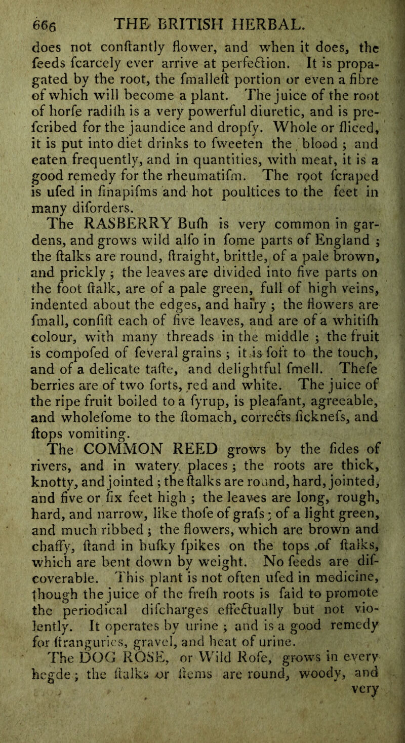 does not conftantly flower, and when it does, the feeds fcarcely ever arrive at perfeftion. It is propa- gated by the root, the fmalleft portion or even a fibre of which will become a plant. The juice of the root of horfe radilh is a very powerful diuretic, and is pre- feribed for the jaundice and dropfy. Whole or fliced, it is put into diet drinks to fweeten the blood ; and eaten frequently, and in quantities, with meat, it is a good remedy for the rheumatifm. The rpot feraped is ufed in finapifms and hot poultices to the feet in many diforders. The RASBERRY Bufh is very common in gar- dens, and grows wild alfo in fome parts of England ; the flalks are round, ftraight, brittle, of a pale brown, and prickly ; the leaves are divided into five parts on the foot ftalk, are of a pale green, full of high veins, indented about the edges, and hafry ; the flowers are fmall, confifi; each of five leaves, and are of a whitifli colour, with many threads in the middle ; the fruit is compofed of feveral grains ; it .is foft to the touch, and of a delicate tafte, and delightful fmell. Thefe berries are of two forts, red and white. The juice of the ripe fruit boiled to a fyrup, is pleafant, agreeable, and wholefome to the ftomach, corrects ficknefs, and flops vomiting. The COMMON REED grows by the Tides of rivers, and in watery places ; the roots are thick, knotty, and jointed ; theffalks are round, hard, jointed, and five or fix feet high ; the leaves are long, rough, hard, and narrow, like thofe of grafs • of a light green, and much ribbed ; the flowers, which are brown and chaffy, Hand in hufky fpikes on the tops .of flalks, which are bent down by weight. No feeds are dil- coverable. This plant is not often ufed in medicine, though the juice of the frelh roots is faid to promote the periodical difeharges effeftually but not vio- lently. It operates by urine ; and is a good remedy for ftrangurics, gravel, and heat of urine. The DOG ROSE, or Wild Rofe, grows in every hegde; the flalks or items are round, woody, and very