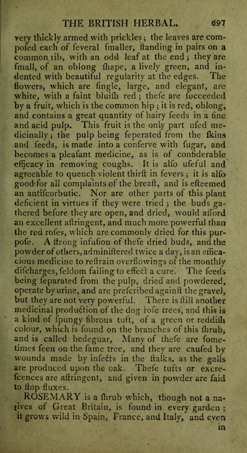 verj thickly armed with prickles; the leaves are com- poi'ed each of feveral fmaller, ftanding in pairs on a common,rib, with an odd leaf at the end > they are fmall, of an oblong fliape, a lively green, and in- dented with'beautiful regularity at the edges. The flowers, which are Angle, large, and elegant, are white, with a faint bluifli red; thefe are fucceedcd by a fruit, which is the common hip ; it is red, oblong, and contains a great quantity of hairy feeds in a fine and acid pulp. This fruit is the only part ufed me- dicinally ; the pulp being feperated from the fkins and feeds, is made into a conferve with fugar, and becomes a pleafant medicine, as is of confiderable efficacy in removing coughs. It is alfo ufeful and agreeable to quench violent thirft in fevers ; it is alfo good for all complaints of the breafl, and is efteemed an antifcorbutic. Nor are other parts of this plant deficient in virtues if they were tried ; the buds ga- thered before they are open, and dried, would afford an excellent aftringent, and much more,powerful than the red rofes, which are commonly dried for this pur- pofe. A ftrong infufion of thefe dried buds, and the powder of others, adminiftered twice a day, is an effica- cious medicine to refirain overflowings of the monthly difcharges, feldom failing to effetl; a curei The feeds being feparated from the pulp, dried and powdered, operate by urine, and are prefcribed againft the gravel, but they are not very powerful. There is flill another medicinal production of the dog fofe trees, and this is a kind of fpungy fibrous tuft, of a green or reddifh colour, which is found on the branches of this flirub, and is called bedeguar. Many of thefe are fome- times feen on the fame tree, and they are caufed by wounds made by infeCts in the ftalks, as the galls are produced upon the oak. Thefe tufts or excre- fcences are aftringent, and given in powder are faid to flop fluxes. ROSEMARY is a flirub which, though not a na- tives of Great Britain, is found in every garden ; it grows wild in Spain, France, and Italy, and even in
