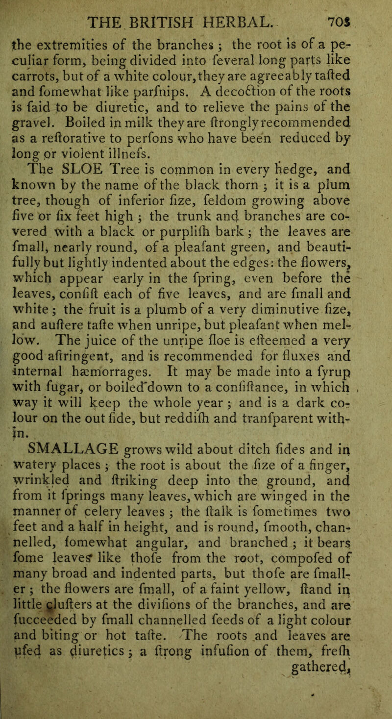the extremities of the branches ; the root is of a pe- culiar form, being divided into feveral long parts like carrots, but of a white colour, they are agreeably rafted and fomewhat like parfnips. A deco61ion of the roots is faid to be diuretic, and to relieve the pains of the gravel. Boiled in milk they are ftrongly recommended as a reftorative to perfons who have been reduced by long or violent illnefs. The SLOE Tree is common in every hedge, and known by the name of the black thorn 3 it is a plum tree, though of inferior fize, feldom growing above five or fix feet high ; the trunk and branches are co- vered with a black or purplilh bark; the leaves are fmall, nearly round, of a pleafant green, and beauti- fully but lightly indented about the edges: the flowers, which appear early in the fpring, even before the leaves, confift each of five leaves, and are fmall and white ; the fruit is a plumb of a very diminutive fize, and auftere tafte when unripe, but pleafant when mel- low. The juice of the unripe floe is efteemed a very good aftringent, and is recommended for fluxes and internal haemorrages. It may be made into a fyrup with fugar, or boiled'down to a confiftance, in which way it will keep the whole year ; and is a dark co- lour on the out fide, but reddifli and tranfparent wfith- in. SMALLAGE grows wild about ditch Tides and in watery places ; the root is about the fize of a finger, wrinkjed and ftriking deep into the ground, and from it fprings many leaves, which are wdiiged in the manner of celery leaves ; the ftalk is fometimes two feet and a half in height, and is round, fmooth, chan- nelled, fomewhat angular, and branched ; it bears fome leaves* like thofe from the root, compofed of many broad and indented parts, but thofe are fmalL er ; the flowers are fmall, of a faint yellow, ftand in little ^lufters at the divifions of the branches, and are fucceeded by fmall channelled feeds of a light colour and biting or hot tafte. The roots and leaves are. iifed as diuretics j a ftrong infufion of them> frefli gatheredj!