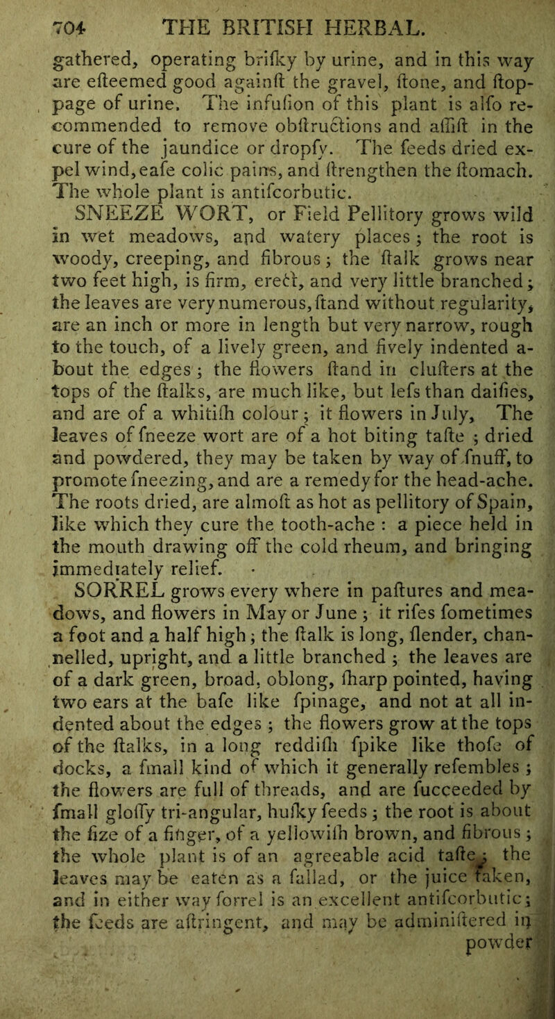 gathered, operating brificy by arine, and in this way are efteemed good againft the gravel, ftone, and flop- page of urine. The infufion of this plant is alfo re- commended to remove obflruclions and airift in the cure of the jaundice or dropfy. The feeds dried ex- pel wind, eafe colic pain's, and flrengthen theflomach. The whole plant is antifcorbutic. SNEEZE WORT, or Field Pellitory grows wild in wet meadows, apd watery places ; the root is woody, creeping, and fibrous; the flalk grows near two feet high, is firm, erert, and very little branched; the leaves are very numerous, ftand without regularity, are an inch or more in length but very narrow, rough to the touch, of a lively green, and fively indented a- bout the edges ; the flowers (land in cluflers at the tops of the ftalks, are much like, but lefs than dailies, and are of a whitiih colour; it flowers in July, The leaves of fneeze wort are of a hot biting tafte ; dried and powdered, they may be taken by way of fnuff, to promote fneezing, and are a remedy for the head-ache. The roots dried, are almoft as hot as pellitory of Spain, like which they cure the tooth-ache : a piece held in the mouth drawing off the cold rheum, and bringing immediately relief. SORREL grows every where in paflures and mea- dows, and flowers in May or June ; it rifes fometimes a foot and a half high; the flalk is long, flender, chan- nelled, upright, and a little branched ; the leaves are of a dark green, broad, oblong, fharp pointed, having two ears at the bafe like fpinage, and not at all in- dented about the edges ; the flowers grow at the tops of the flalks, in a long reddifli fpike like thofe of docks, a fmall kind of which it generally refembles ; the flov/ers are full of threads, and are fucceeded by fmall gloffy tri-angular, hulTcy feeds ; the root is about the fize of a finger, of a yellowilh brown, and fibrous ; the whole plant is of an agreeable acid tafle : the leaves maybe eaten as a fallad, or the juice taken, and in either way forrel is an excellent antifcorbutic ; the feeds are aflringent, and may be adminiftered ip
