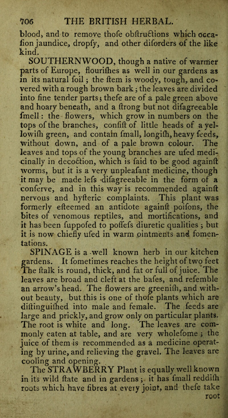 bloodj and to remove thofe obftru6Iions which ocea- lion jaundice, dropfy, and other diforders of the like kind. SOUTHERNWOOD, though a native of warmer parts of Europe, flourifhes as well in our gardens as in its natural foil; the ftem is woody, tough, and co- vered with a rough brown bark; the leaves are divided into fine tender parts 5 thefe are of a pale green above and hoary beneath, and a ftrong but not difagreeable fmell: the flowers, which grow in numbers on the tops of the branches, confift of little heads of ayel- lowifli green, and contain fmall, longifli, heavy feeds, without down, and of a pale brown colour. The leaves and tops of the young branches are ufed medi- cinally in deco6tion, which is faid to be good againfl: worms, but it is a very unpleafant medicine, though it may be made lefs 'difagreeable in the form of a conferva, and in this way is recommended againft nervous and hyfteric complaints. This plant was formerly efteemed an antidote againft poifons, the bites of venomous reptiles, and mortifications, and it has been fuppofed to poflfefs diuretic qualities y but it is now chiefly ufed in warm ointments and fomen- tations. SPINAGE is a -well known herb in our kitchen gardens. It fometimes reaches the height of two feet The ftalk is round, thick, and fat or full of juice. The leaves are broad and cleft at the bafes, and refemble an arrow’s head. The flowers are greenifli, and with- out beauty, but this is one of thofe plants which are diftinguiihed into male and female. The feeds are large and prickly, and grow only on particular plants. The root is white and long. The leaves are com- monly eaten at table, and are very wholefome ; the juice of them is recommended as a medicine operat- ing by urine, and relieving the gravel. The leaves are cooling and opening. The STRAWBERRY Plant is equally well known in its wild ftate and in gardens; it has fmall reddifti roots which have fibres at every joint, and thefe take root