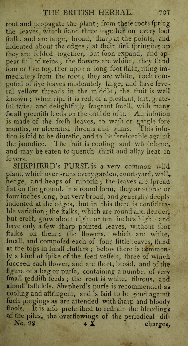 root and propagate the plant; from thefe roots fpring the leaves, which ftand three together on every foot llalk, and are large, broad, fharp at the points, and indented about the edges ; at their lirft fpringing up they are folded together, but foon expand, and ap- pear full of veins ; the flowers are white 3 they hand four or five together upon a long foot flalk,^rifing im- mediately from the root; they are white, each com- pofed of five leaves moderately large, and have feve- ral yellow threads in the middle ; the fruit is Vv^ell known ; when ripe it is red, of a pleafant, tart, grate- ful tafte, and delightfully fragrant fmell, with many fmall greenifli feeds on the outfide of it. An infufion is made of the frefli leaves, to wafli or gargle fore mouths, or ulcerated throats and gums. This infu- fion is faid to be diuretic, and to be ferviceable againlt the jaundice. The fruit is cooling and wholefome,’ and may be eaten to quench thirit and allay heat in fe vers. shepherd’s purse is a very common wild plant, which overt-runs every garden, court-yard, wall^ hedge, and heaps of rubbilh ; the leaves are fpread flat on the ground, in a round form, they are three or four inches long, but very broad, and generally deeply indented at the edges, but in this there is confidera- ble variation ; the (talks, which are round and (lender, but erefl, grow about eight or ten inches high, and have only a few fliarp pointed leaves, without foot (talks on them; the flowers, which are white, fmall, and compofed each of four little leaves, (tand at the tops in fmall clutters ; below there is common- ly a kind of fpike of the feed veffels, three of which fucceed each flower, and are (hort, broad, and of the figure ot a bag or purfe, containing a number of very fmall ^eddifli feeds ; the root i^ white, fibrous, and almoftiattelefs. Shepherd’s purfe is recommended as cooling and a(tringent, and is faid to be good againft fuch purgings as are attended with (harp and bloody (tools. It is alfo prefcribed to reftrain the bleedings of the piles, the overflowings of the periodical dif- No. 2$ 4 X charges,