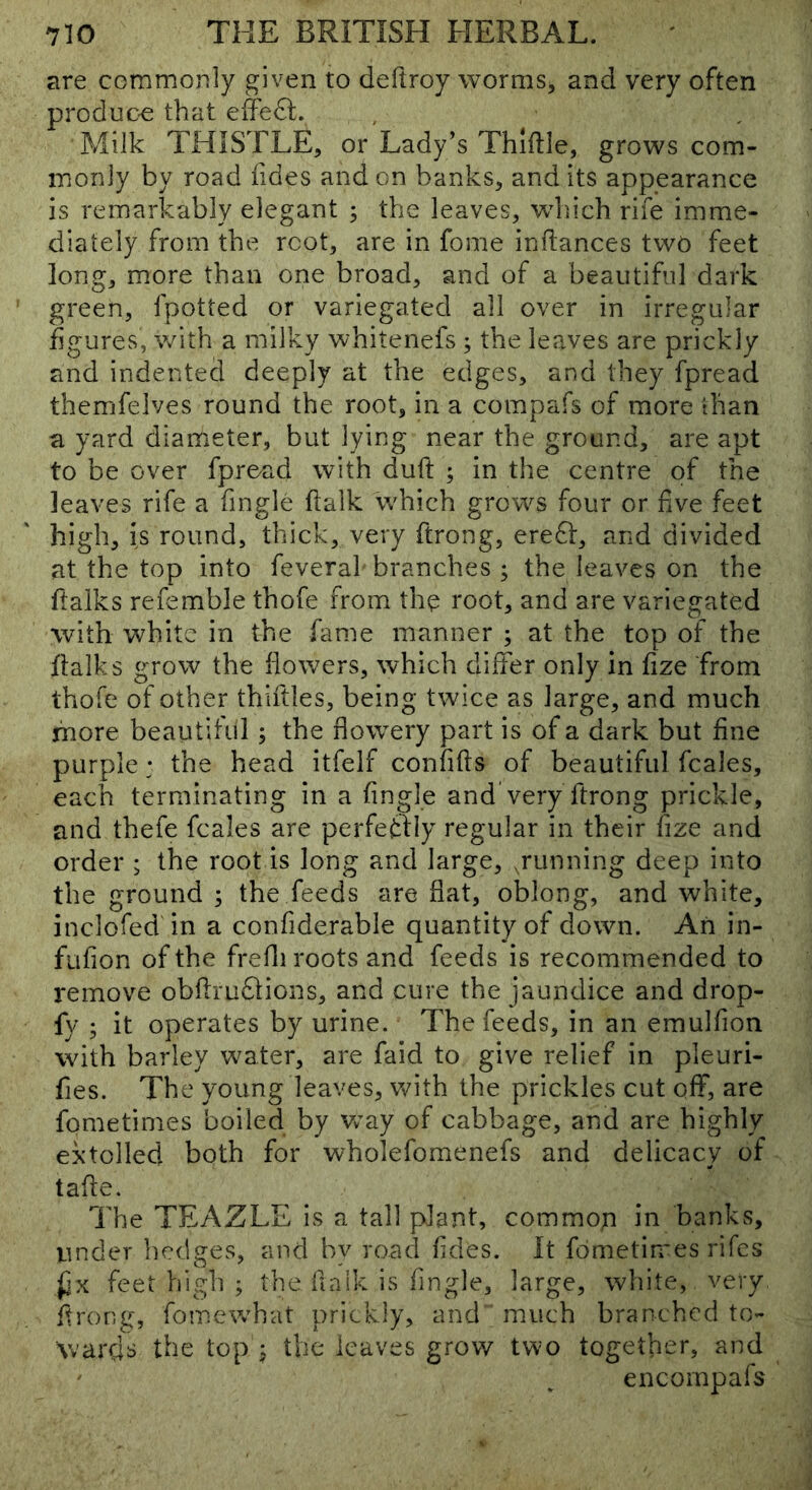 are commonly given to deftroy worms^ and very often produc-e that effedl. Milk THISTLE, or Lady’s Thiftle, grows com- monly by road fides and on banks, and its appearance is remarkably elegant ; the leaves, which rife imme- diately from the root, are in fome inftances two feet long, more than one broad, and of a beautiful dark green, fpotted or variegated all over in irregular figures, with a milky whitenefs ; the leaves are prickly and indented deeply at the edges, and they fpread themfelves round the root, in a compafs of more than a yard diameter, but lying near the ground, are apt to be over fproad with duft ; in the centre of the leaves rife a Tingle ftalk which grows four or five feet high, is round, thick, very ftrong, erefit, and divided at the top into feveral branches ; the leaves on the ftaiks refemble thofe from tho root, and are variegated with white in the fame manner ; at the top of the flalks grow the flowers, which differ only in fize from thofe of other thirties, being twice as large, and much more beautiful; the flowery part is of a dark but fine purple: the head itfelf confifts of beautiful fcales, each terminating in a Angle and very ftrong prickle, and thefe fcales are perfedfly regular in their fize and order ; the root is long and large, .running deep into the ground ; the feeds are flat, oblong, and white, inclofed in a confiderable quantity of down. An in- fufion of the frefli roots and feeds is recommended to remove obflruflions, and cure the jaundice and drop- fy ; it operates by urine. The feeds, in an emulfion with barley water, are faid to give relief in pleuri- fies. The young leaves, with the prickles cut off, are fometimes boiled by w^ay of cabbage, and are highly extolled both for wholefomenefs and delicacy of tafle. The TEAZLE is a tall plant, com mop in banks, under hedges, and by road Tides. It fometimes rifes jjx feet high ; the flaik is Tingle, large, white, very, ftrong, fomewhat prickly, and much branched to- ward^ the top ^ the leaves grow two together, and encornpafs