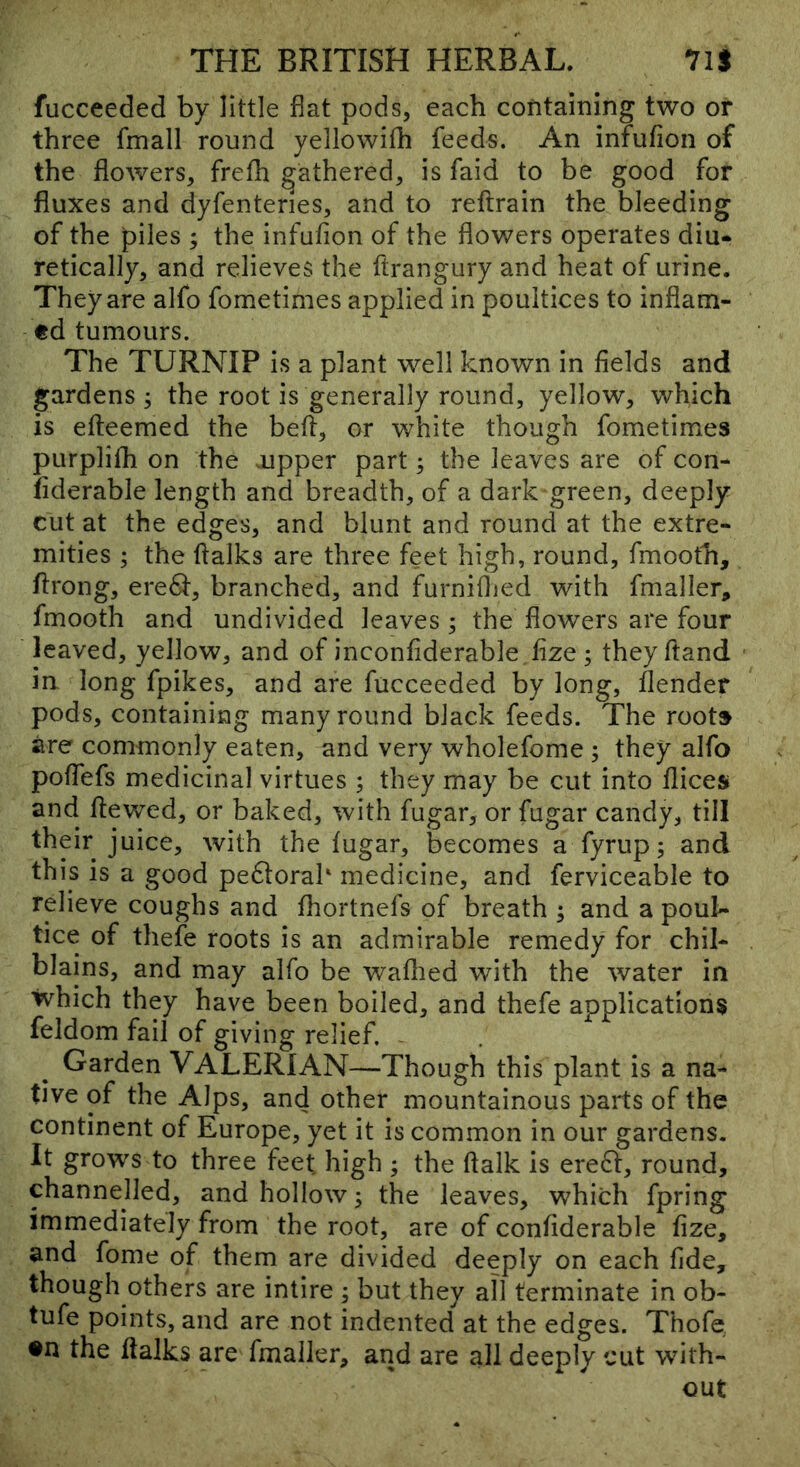fucceeded by little flat pods, each containing two or three fmall round yellowifh feeds. An infufion of the flowers, frefli gathered, is faid to be good for fluxes and dyfentenes, and to reftrain the bleeding of the piles ; the infufion of the flowers operates diu* retically, and relieves the ftrangury and heat of urine. They are alfo fometimes applied in poultices to inflam- ed tumours. The TURNIP is a plant well known in fields and gardens; the root is generally round, yellow, which is efteemed the befl, or white though fometimes purplifli on the oipper part; the leaves are of con- fiderable length and breadth, of a dark green, deeply cut at the edges, and blunt and round at the extre- mities ; the (talks are three feet high, round, fmooth, flrong, ere6t, branched, and furniflied with fmaller, fmooth and undivided leaves ; the flowers are four leaved, yellow, and of inconfiderable fize ; they (land in long fpikes, and are fucceeded by long, flender pods, containing many round black feeds. The roots are commonly eaten, and very wholefome ; they alfo poffefs medicinal virtues ; they may be cut into flices and (tewed, or baked, with fugar, or fugar candy, till their juice, with the (ugar, becomes a fyrup; and this is a good peftorak medicine, and ferviceable to relieve coughs and (hortnels of breath ; and a poul- tice of thefe roots is an admirable remedy for chil- blains, and may alfo be waflied with the water in which they have been boiled, and thefe applications feldom fail of giving relief. - Garden VALERIAN—Though this plant is a na- tive of the Alps, and other mountainous parts of the continent of Europe, yet it is common in our gardens. It grows to three feet high ; the (talk is ere6t, round, channelled, and hollow; the leaves, which fpring immediately from the root, are of confiderable fize, and fome of them are divided deeply on each fide, though others are intire ; but they all terminate in ob- tufe points, and are not indented at the edges. Thofe, •n the (talks are fmaller, and are all deeply cut with- out