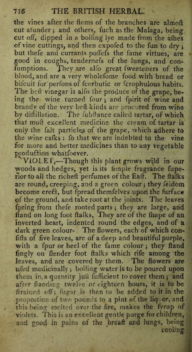 the vines after the ftems of the branches are almoft cut afunder, and others, fuch as the Malaga, being cut off, dipped in a boiling lye made from the allies of vine cuttings^ and then expofed to the fun to dry; but thefe and currants poifefs the fame virtues, are good in coughs, tendernefs of the lungs, and con- fumptions. alfo great fweeteners of. the blood, and are a very wholefome food with bread or bifcuit for perfons of fcorbutic or fcrophulous habits. The bell vinegar is alfo the produce of the grape, be- ing the wine turned four; and fpirit of wine and brandy of the very bell kinds are proc jred from wine by diftillation. The fubllance called tartar, of which that mod excellent medicine the cream of tartar is only the faJt particles of the grape, which adhere to the wine cafks : fo that we are indebted to the vine for more and better medicines than to any vegetable produflion whatfoever. VIOLE T,—Though this plant grows wild in our woods and hedges, yet is its fimpie fragrance fupe- rlor to all the richeft perfumes of the Ead. The dalks are round, creeping, and a green colour; they feldorn become ereH, but fpread themfelves upon the ftirface of the ground, and take root at the joints. The leaves fpring from thefe rooted parts; they are large, and Rand on long foot dalks, They are of the fliape of an inverted heart, indented round the edges, and of a dark green colour- The flowers, each of which con- fids of five leaves, are of a deep and beautiful purple, with a fpur or heel of the fame colour ; they ftancl fjngly on flender foot ftalks which rife among the leaves, and are covered by them. The flowers are ufed medicinally; boiling v/ater is to be poured upon them in. a quantity jufl fuflicient to cover them ; and after flanding twelve or eighteen hours, it is to be drained ofl'; fugar is then to be added to it in the proportion of two pounds to a pint of the liq or, and this being melted over the fire, makes the fyrup of violets. This is an excellent gentle purge for children, and good- in pains of the bread and lungs, being cooling