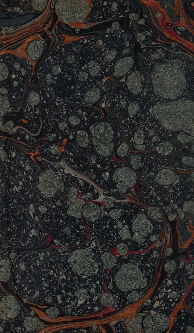 digitised image 2