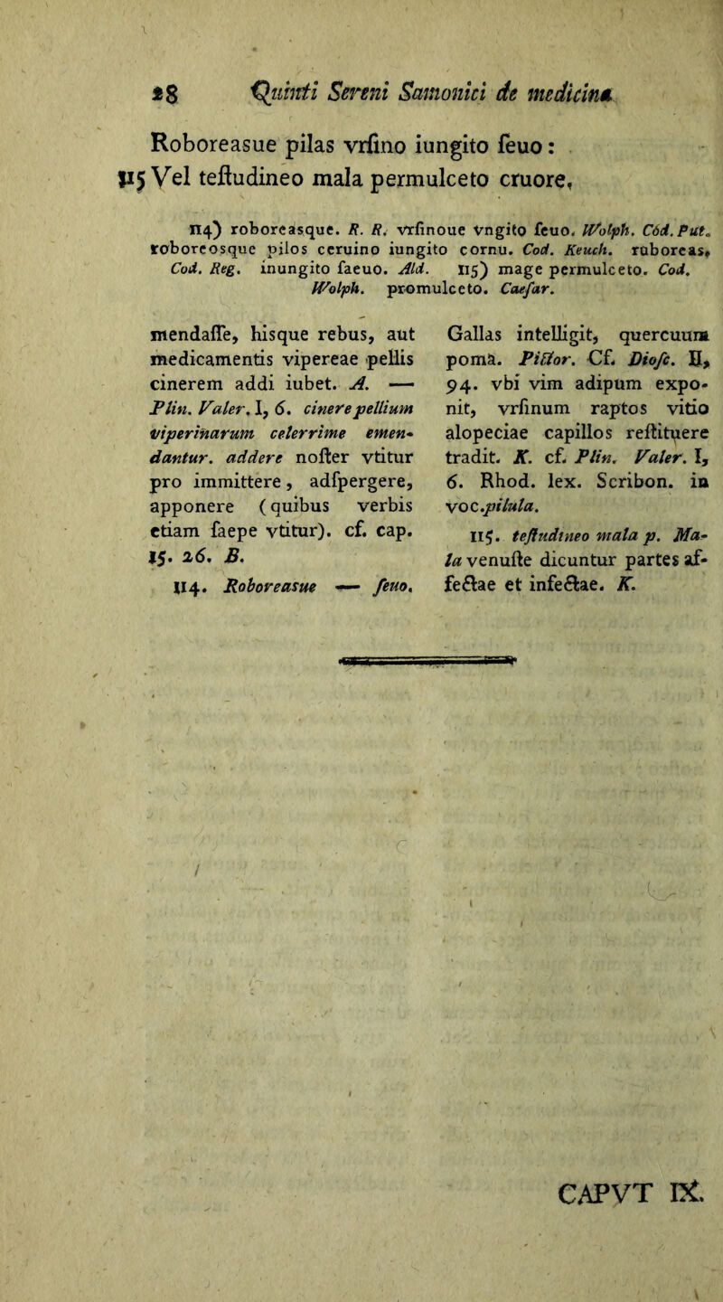 Roboreasue pilas vrfino iungito feuo: jijVel teftudineo mala permulceto cruore, 114) roboreah*que. R. R. vrfinoue vngito feuo. iVotph. Cod.Put. roboreosque pilos ccruino iungito cornu. Cod. Keuch. ruboreas, Cod. Reg. inungito faeuo. Aid. 115) mage permulceto. Cod. Wolph. promulceto. Caefar. mendafie, hisque rebus, aut medicamentis vipereae pellis cinerem addi iubet. A. — Plin. Valer. I, 6. cinere pellium viperinarum celerrime emen- dantur, addere nofter vtitur pro immittere, adfpergere, apponere (quibus verbis etiam faepe vtitur). cf. cap. 15. 26. B. U4. Roboreasue — feuo. Gallas intelligit, quercuum poma. Pitfor. Cf. Diofc. B, 94. vbi vim adipum expo- nit, vrfinum raptos vitio alopeciae capillos reflitpere tradit. K. cf. Plin. Valer. I, 6. Rhod. lex. Scribon. in voc.pilula. 115. tefludineo mala p. Ma- la venufte dicuntur partes af- fe&ae et inferae. K.