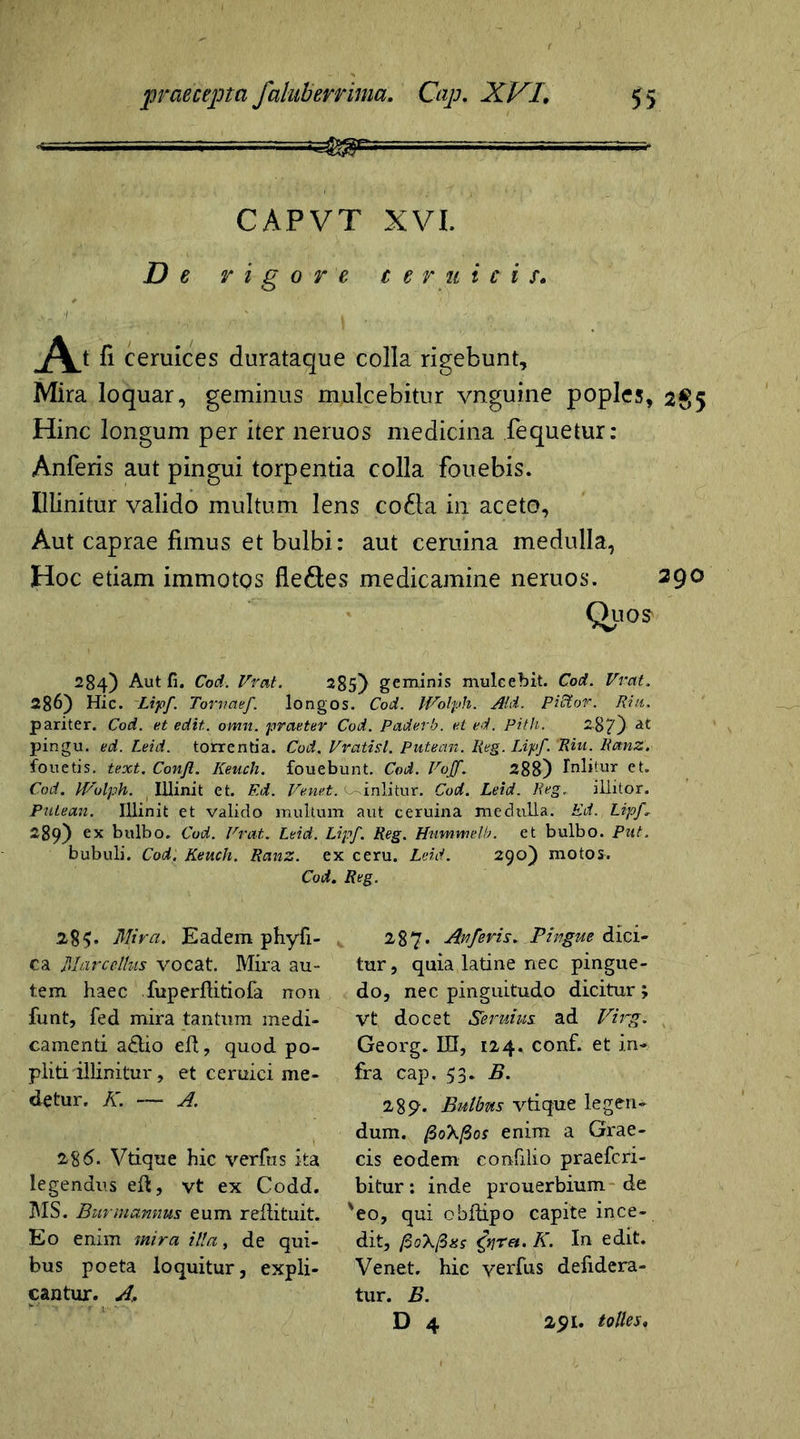 T •— - n - CAPVT XVI. De vigore c e r u i c i s. A ii ceruices durataque colla rigebunt. Mira loquar, geminus rnulcebitur vnguine poples, 2^5 Hinc longum per iter neruos medicina fequetur: Anferis aut pingui torpentia colla fouebis. Illinitur valido multum lens co£la in aceto. Aut caprae fimus et bulbi: aut ceruina medulla, Hoc etiam immotos fle&es medicamine neruos. 290 Quos 284) Aut fi. Cod. Vrat. 285) geminis muleebit. Cod. Vrat. 286) Hic. Lipf. Tomaef. longos. Cod. IVolph. Aid. Pictor. Riu. pariter. Cod. et edit. omn. praeter Cod. Paderb. et ed. Pith. 2-87) at pingu. ed. Leid. torrentia. Cod. Vratisl. Putean. Reg. Lipf. 'Riu. Ranz. fouetis. text. Conjl. Keucli. fouebunt. Cod. Vojf. 288) Inlitur et. Cod. IVolph. Illinit et. Ed. Venet. inlitur. Cod. Leid. Reg. illitor. Putean. Illinit et valido multum aut ceruina medulla. Ed. Lipf 289) ex bulbo. Cod. Erat. Leid. Lipf. Reg. Hnmmelb. et bulbo. Put. bubuli. Cod. Keuch. Ranz. ex ceru. Leid. 290) motos. Cod. Reg. 28$. Mira. Eadem phyfi- ca Marcellus vocat. Mira au- tem haec fuperftitiofa non funt, fed mira tantum medi- camenti a&io eft, quod po- pliti illinitur, et ceruici me- detur. K. — A. 285. Vtique hic verfus ita legendus eft, vt ex Codd. IMS. Burmannus eum reflituit. Eo enim mira illa, de qui- bus poeta loquitur, expli- cantur. A. 287. Anferis. Pingue dici- tur, quia latine nec pingue- do, nec pinguitudo dicitur; Vt docet Seruius ad Virg. Georg. IU, 124. conf. et in- fra cap. 53. B. 289. Bulbus vtique legen- dum. fioXfios enim a Grae- cis eodem eonfilio praefcri- bitur: inde prouerbium de 'eo, qui obftipo capite ince- dit, fioXfixs C^ret. K. In edit. Venet. hic verfus defidera- tur. B. D 4 291. tolles,