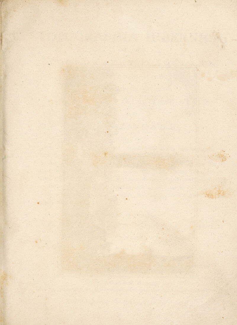 ■ <, if ■' i'-. ■ ' / •s \ •>. 4 I V, ‘\ fr It: f •V X ih ♦ •» ■ f