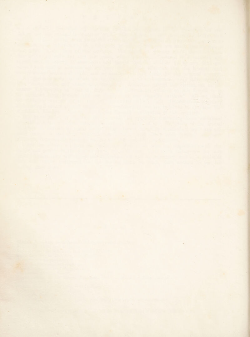 \ »->l. » • ( \ t % ^ m£ f N ■5t} \ . •Jr/ < • t t %