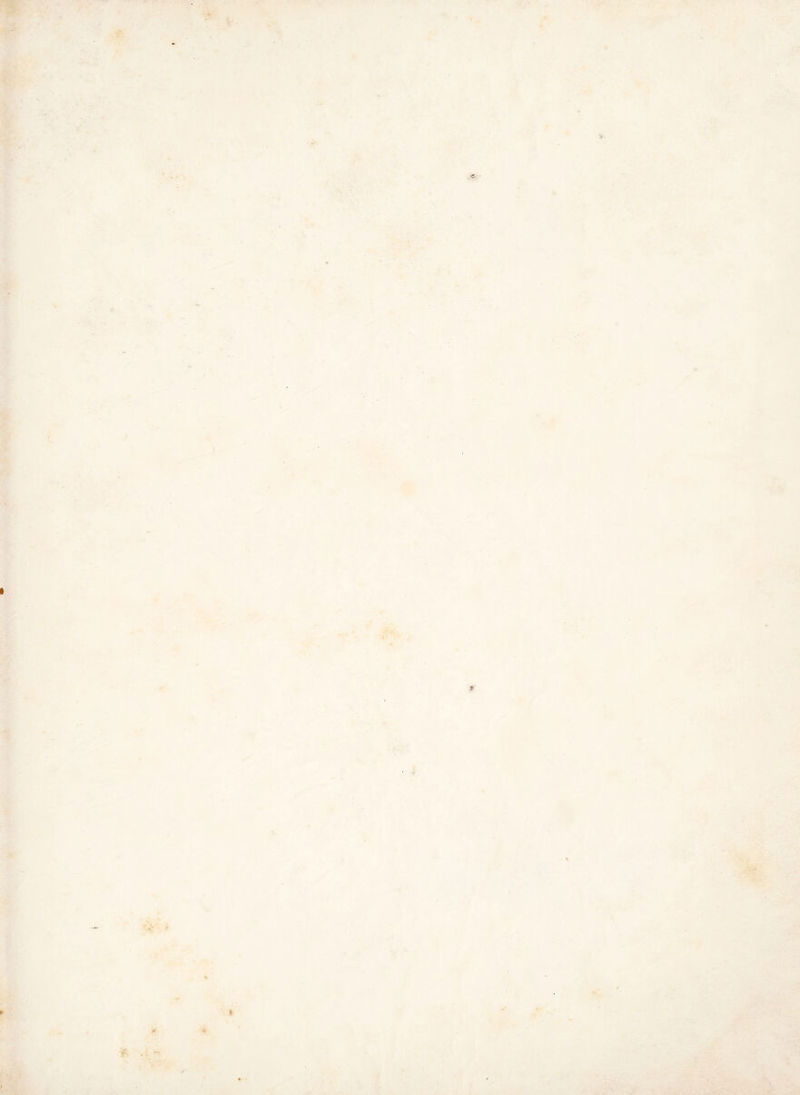 ' -t •-# •I •; ••T ■■ ■ ' % ■*':. ’V' ■ V •. J ir^ ■■ Vs,»^ T • V-ff. .■‘+’ ' - \ L * ■ 'v '- - .'_ ^.t ■ *• . '•\ ‘i ». i V <-... j*' ♦ < l » ?■