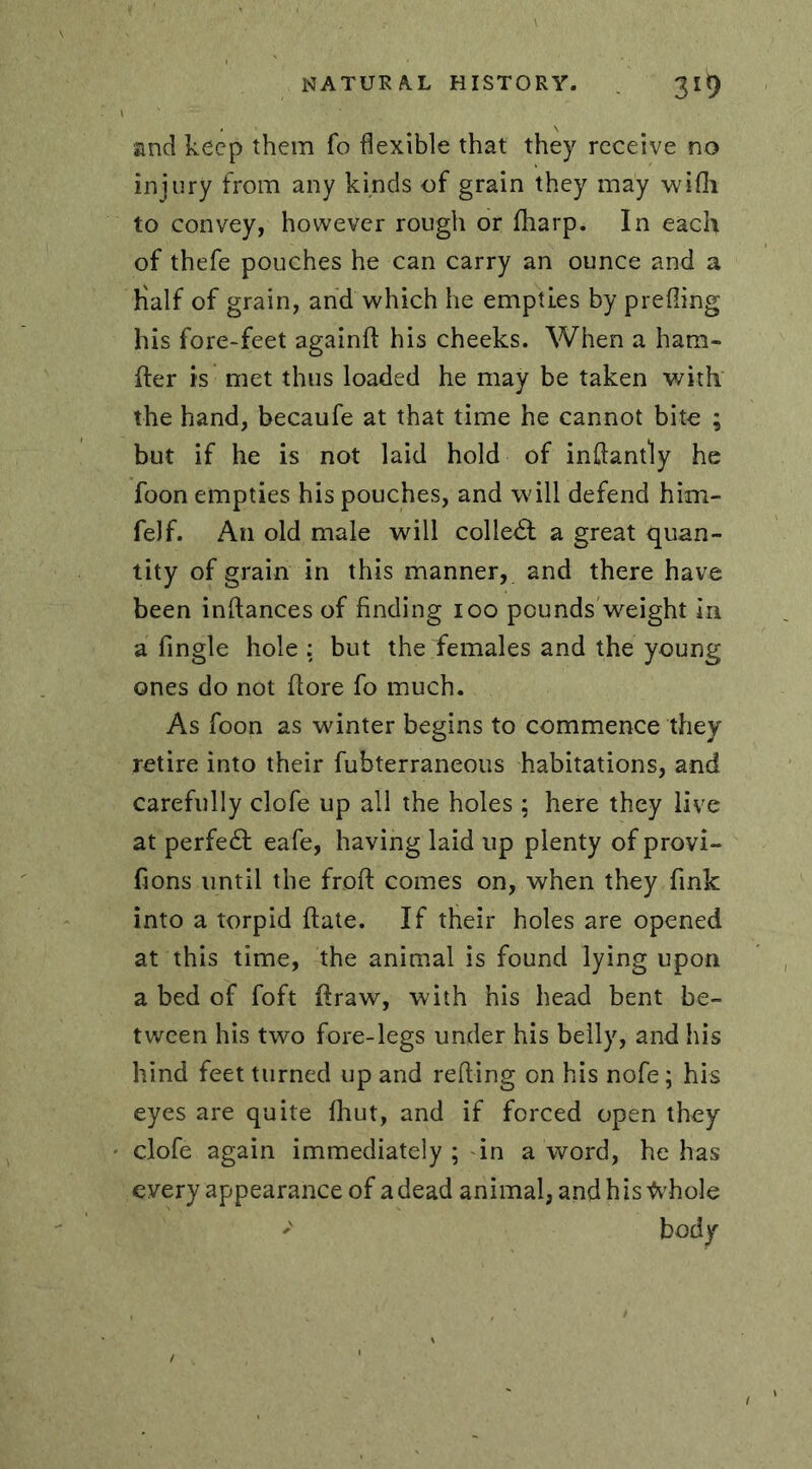 and keep them fo flexible that they receive no injury from any kinds of grain they may wifli to convey, however rough or fharp. In each of thefe pouches he can carry an ounce and a Half of grain, and which he empties by prefling his fore-feet againft his cheeks. When a ham- fter is met thus loaded he may be taken with the hand, becaufe at that time he cannot bite ; but if he is not laid hold of inftanfly he foon empties his pouches, and will defend him- felf. An old male will collect a great quan- tity of grain in this manner, and there have been inftances of finding 100 pounds weight in a Angle hole : but the females and the young ones do not (lore fo much. As foon as winter begins to commence they retire into their fubterraneous habitations, and carefully clofe up all the holes ; here they live at perfect eafe, having laid lip plenty of provi- fions until the froft comes on, when they fink into a torpid (late. If their holes are opened at this time, the animal is found lying upon a bed of foft firaw, with his head bent be- tween his two fore-legs under his belly, and his hind feet turned up and refling on his nofe ; his eyes are quite fhut, and if forced open they clofe again immediately ; in a word, he has every appearance of a dead animal, and his tohole ' body