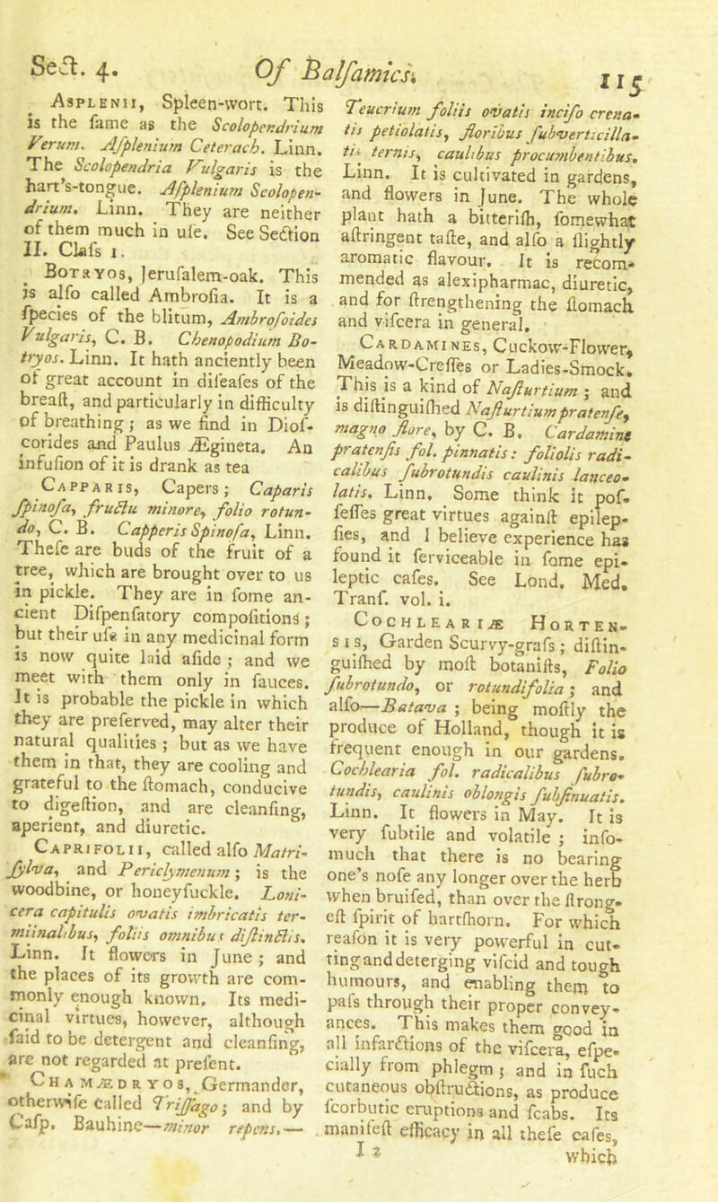 115 . ^SPL/NI1’ Spleen-wort. Tins Teucrium foliis ovatis incifo ercna- is the fame as the Scolopendnum tis petiolatis, fortius fubverUcilla- fPkmu!n Cjterach. Linn. tU terms, p'rocumbentibus. The Scolope/ulria Vulgaris is the hart’s-tongue. Afplenium Scolopen- drium. Linn. They are neither of them much in ule. See Sediion II. Clafs 1. Botryos, Jerufalem-oak. This is alfo called Ambrolia. It is a fpecies of the blitum, Ambrofoides Vulgaris, C. B. Cbenopodium Bo- tryos. Linn. It hath anciently been ot great account in dil'eafes of the bread, and particularly in difficulty of breathing ; as we find in Diol- corides and Paulus Aigineta. An infufion of it is drank as tea Ca pp a r is, Capers ; Caparis fpinofa, frudlu minorey folio rotun- da, C. B. Capper is Spinofa, Linn. Thefe are buds of the fruit of a tree, which are brought over to us in pickle. They are in fome an- cient Difpenfatory compofitions; but their ufe in any medicinal form is now quite laid afidc ; and we meet with them only in fauces. It is probable the pickle in which they are preferved, may alter their natural qualities ; but as we have them in that, they are cooling and grateful to the domach, conducive to digedion, and are eleanfing, aperient, and diuretic. Caprifolii, called alfo Matri- Jylva, and P ericlymenum; is the woodbine, or houeyfuckle. Loni- cera capitulis ovatis imbricatis ter- nuinahbus, foliis omnibu c dijlindlis. Linn. It flowers in June; and the places of its growth are com- monly enough known. Its medi- cinal virtues, however, although Linn. It is cultivated in gardens, and flowers in June. The whole plant hath a bitteriffi, fomewhat adringent tade, and alfo a flightly aromatic flavour. It is recom- mended as alexipharmac, diuretic, and for drengthening the domach. and vifeera in generaJ. Cardamines,Cu ckow-FIower, Meadow-Lredes or Ladies-Smock* This is a kind of Nafurtium ; and is diftinguiflied Najlurtiumpratenfe, magno fare, by C. B. Cardamint pi atenfs fol. pinnatis : foholis radi- c alibus fubrotundis caulinis lanceo- latis, Linn. Some think it pof. fefles great virtues againfl epilep- lies, and 1 believe experience has found it ferviceable in fome epi- leptic cafes. See Lond. Med. Tranf. vol. i. Cochlear i^e Horten- sis, Garden Scurvy-grafs ; didin- guiffied by mod botanifls, folio fubrotundo, or rotundifolia; and alfo—Batova ; being modly the produce of Holland, though it is frequent enough in our gardens. Cocblearia fol. radio alibus fubro- tundis, caulinis oblongis fubfnuatis. Linn. It flowers in May. It is very fubtile and volatile ; info- much that there is no bearing one’s nofe any longer over the herb when bruifed, than over the firong- efi fpirit of hartffiorn. For which reafon it is very powerful in cut- ting and deterging vifeid and tough humours, and enabling them to pafs through their proper convey- - . - 7 Jmces. This makes them good in laid to be detergent and eleanfing, all infarftions of the vifeera, efi>e- are not regarded at prelent. dally from phlegm 5 and in fuch A M*I D r y os,. Germander, cutaneous ohdruftions, as produce othenv’ife called 7riJ/dgo', and by fcorbutic eruptions and fcabs. Its Cajp. Bauhinc—minor repensmamted efficacy in all thefe cafes, ^2 which