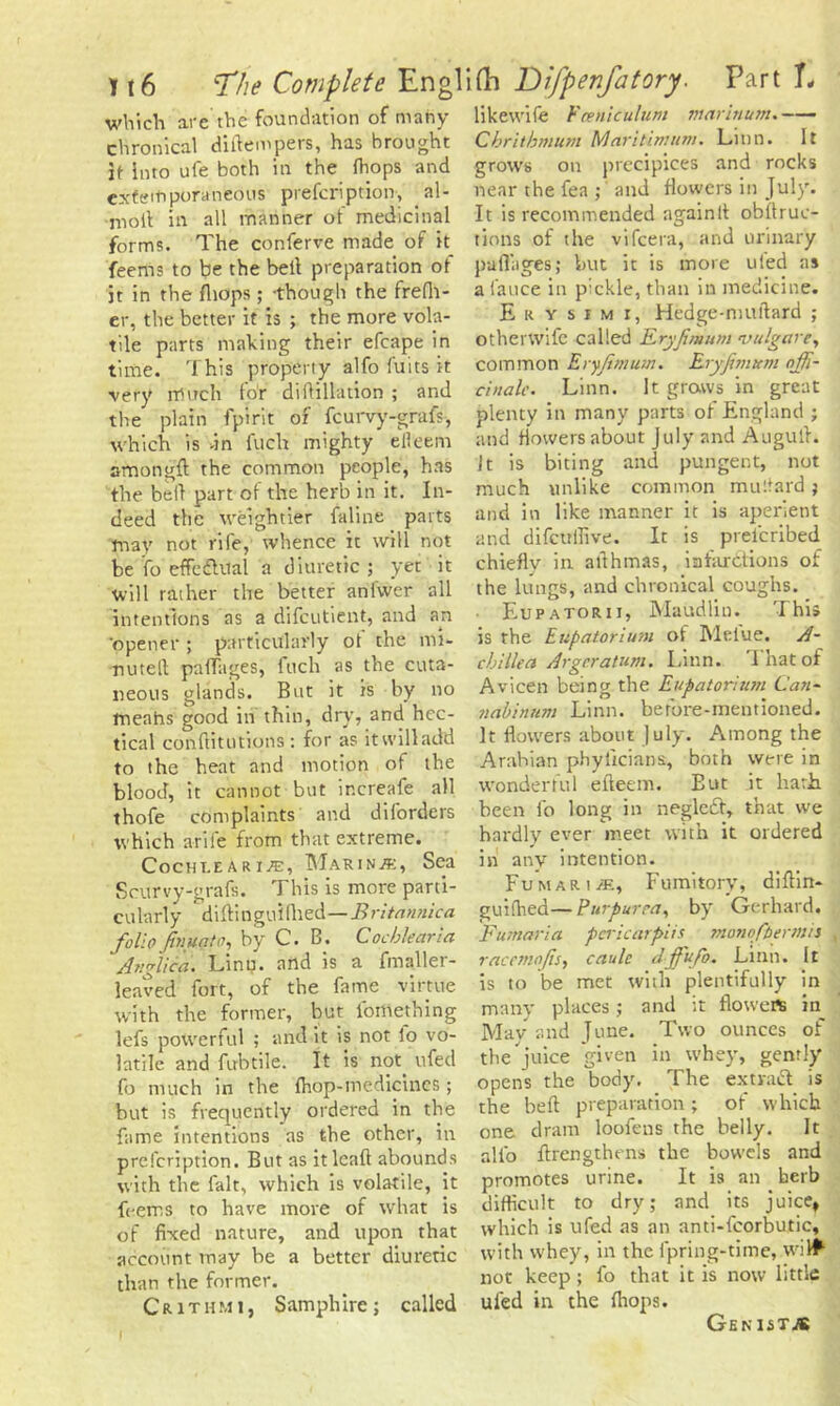 which are the foundation of many chronical didempers, has brought it into ule both in the fhops and extemporaneous prescription, al- molt in all manner ot medicinal forms. The conferve made of it feems to be the belt preparation ot jt in the fhops; -though the frefh- er, the better it is ; the more vola- tile parts making their efcape in time. This property alfo luits it very much for di(filiation ; and the plain Spirit of fcurvy-grafs, which is >in fuctr mighty elleem amongd the common people, has the bell part of the herb in it. In- deed the weightier faline parts may not rife, whence it will not be fo effe(filial a diuretic ; yet it will rather the better anfwer all intentions as a difcutient, and an 'opener ; particularly of the mi- nuted palTages, fitch as the cuta- neous glands. But it is by no fnenhs good in thin, dry, and hec- tical conditutions: for as it will add to the heat and motion of the blood, it cannot but inereafe all thofe complaints and diforders which arife from that extreme. Cocht.earij'e, Marine;, Sea Seurvy-grafs. This is more parti- cularly didinguidied—Britannica folio finuato, by C. B. Cochlear la Ar.glic'a. Linn, and is a fmaller- leaved fort, of the fame virtue with the former, but lomething lefs powerful ; and it is not lo vo- latile and fubtile. It is not. ufed fo much in the {hop-medicines ; but is frequently ordered in the fame intentions as the other, in prefeription. But as it lead abounds with the fait, which is volatile, it feems to have more of what is of fixed nature, and upon that account may be a better diuretic than the former. C r 1 t h m i, Samphire ; called likewife Feeniculum marinum. Chrithmum Maritimum. Linn. It grows on precipices and rocks near the fea ; and flowers in July. It is recommended againlt obdruc- tions of the vifeera, and urinary pad'ages; but it is more uled a* a 1auce in p:ckle, than in medicine. E r y s i m r, Hedge-nmdard ; otherwife called Rryfimum vulgar e, common Eryfimum. Rryfimum offi- cinale. Linn. It grows in great plenty in many parts of England ; and Howers about July and Augud. Jt is biting and pungent, not much unlike common milliard ; and in like manner it is aperient and difcullive. It is prelcribed chieflv in allhmas, infarctions of the kings, and chronical coughs. Eupatorii, Maudlin. This is the E up atari um of Meiue. A- c hi Ilea Argnratum. Linn. 'That of Avicen being the Eupatorium Can- nahinum Linn, before-mentioned. It dowers about ]uly. Among the Arahian phyiicians, both were in wonderful elleem. Eut it hark been 1b long in neglect, that we hardly ever meet with it ordered in anv intention. Fu m a r i ;e, Fumitory, didin- guifhea—Purpurea, by Gerhard. Fumaria pericarpiis monofbermis racemofis, caule djfufo. Linn. It is to be met with plentifully in many places; and it doweiss in May and June. Two ounces of the juice given in whey, gently opens the body. The extraft is the bed preparation; of which one dram loofens the belly. It alfo drengthens the bowels and promotes urine. It is an herb didicult to dry; and its juice, which is ufed as an anti-fcorbutic, with whey, in the fpring-time, wilf not keep ; fo that it is now little uled in the (hops. Genistas