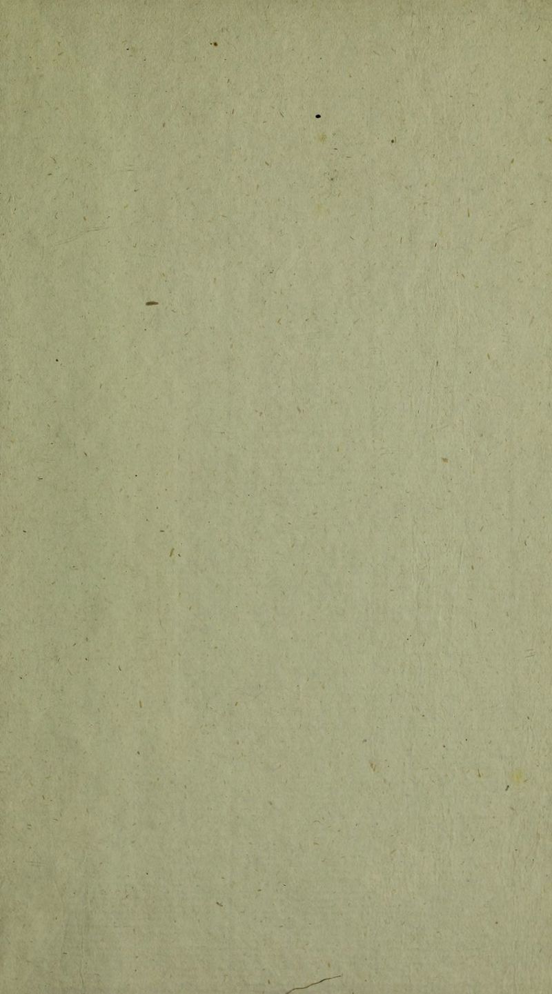 v l '.i ' \ ■ i VVs 'I