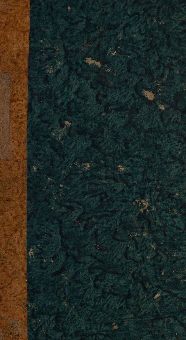 digitised image 1
