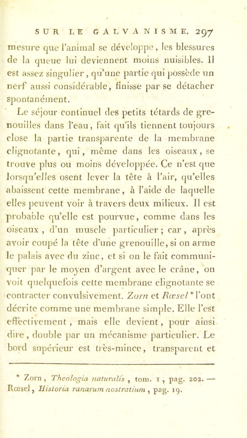 mesure que l’animal se développe, les blessures (le la queue lui deviennent moins nuisibles. 11 est assez singulier , qu’une partie qui possède un nerf aussi considérable, finisse parse détacher spontanément. Le séjour continuel des petits têtards de gre- nouilles dans l’eau, fait qu’ils tiennent toujours close la partie transparente de la membrane clignotante, qui, même dans les oiseaux, se trouve plus ou moins développée. Ce n’est que lorsqu’elles osent lever la tête à l’air, qu’elles abaissent cette membrane, à l’aide de laquelle elles peuvent voir à travers deux milieux. 11 est probable qu’elle est pourvue, comme dans les oiseaux, d’un muscle particulier; car, après avoir coupé la tête d’une grenouille, si on arme le palais avec du zinc, et si on le fait communi- quer par le moyen d’argent avec le crâne, on voit quelquefois cette membrane clignotante se contracter convulsivement. Zorn et Rœsel * l’opt décrite comme une membrane simple. Elle l’est effectivement, mais elle devient, pour ainsi dire, double par un mécanisme particulier. Le bord supérieur est très-mince, transparent et * Zorn , Theologia nalurali's , tom. x , pag. 202. — Rœsel, Hisloria ranarum nostratium , pag. 19.