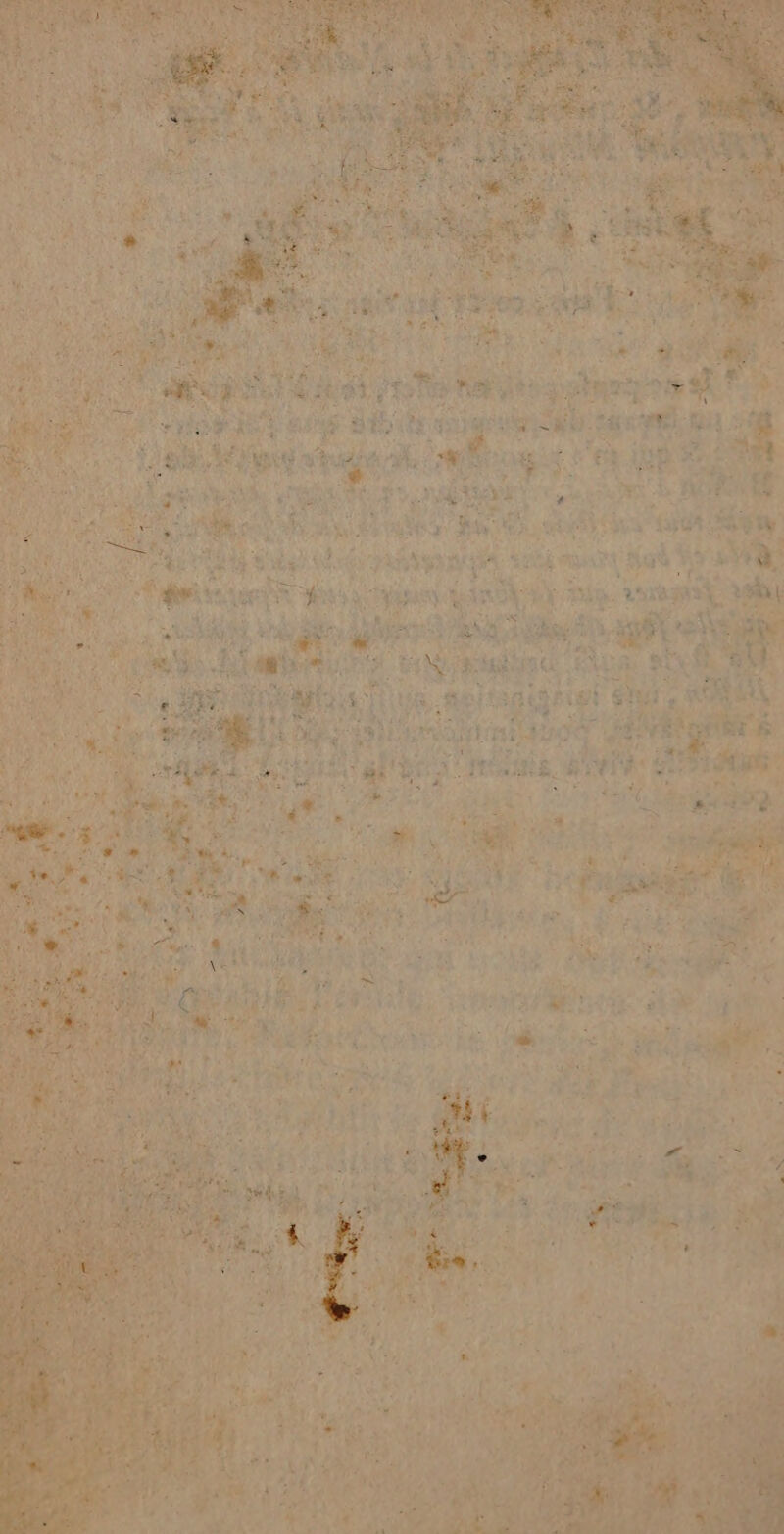 | je a +! FEUT Ta ; ie Vue pv) NI