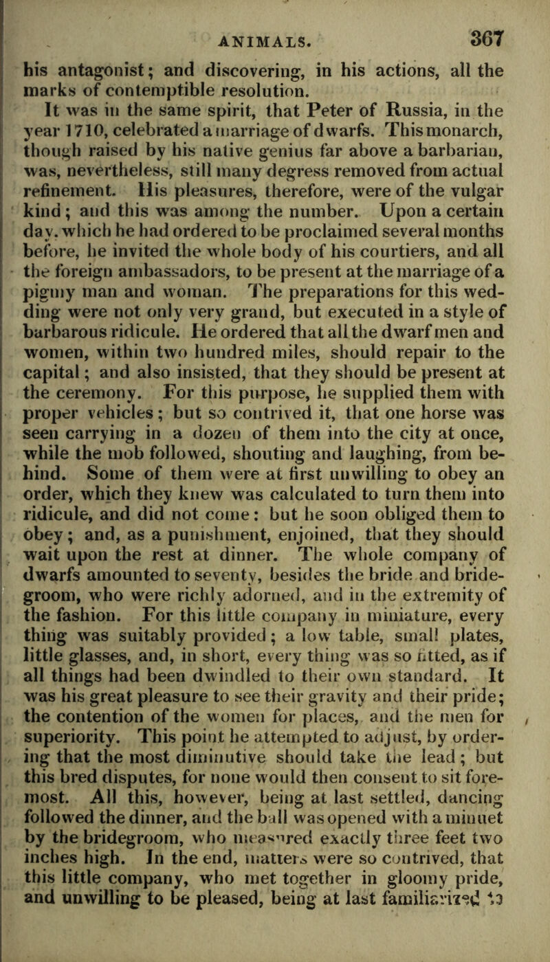 his antagonist; and discovering, in his actions, all the marks of contemptible resolution. It was ill the same spirit, that Peter of Russia, in the year 1710, celebrated a marriage of dwarfs. This monarch, though raised by his native genius far above a barbarian, was, nevertheless, still many degress removed from actual refinement. His pleasures, therefore, were of the vulgar kind ; and this was among the number. Upon a certain day. which he had ordered to be proclaimed several months before, he invited the whole body of his courtiers, and all the foreign ambassadors, to be present at the marriage of a pigmy man and woman. The preparations for this wed- ding were not only very grand, but executed in a style of barbarous ridicule. He ordered that all the dwarf men and women, within two hundred miles, should repair to the capital; and also insis.ted, that they should be present at the ceremony. For this purpose, he supplied them with proper vehicles; but so contrived it, that one horse was seen carrying in a dozen of them into the city at once, while the mob followed, shouting and laughing, from be- hind. Some of them were at first unwilling to obey an order, which they knew was calculated to turn them into ridicule, and did not come: but he soon obliged them to obey; and, as a punishment, enjoined, that they should wait upon the rest at dinner. The whole company of dwarfs amounted to seventy, besides the bride and bride- groom, who were richly adorned, and in the extremity of the fashion. For this little company in miniature, every thing was suitably provided; a low table, small plates, little glasses, and, in short, every thing was so fitted, as if all things had been dwindled to their own standard. It was his great pleasure to see their gravity and their pride; the contention of the women for places, and the men for superiority. This point he attempted to adjust, by order- ing that the most diminutive should take tiie lead; but this bred disputes, for none would then consent to sit fore- most. All this, however, being at last settled, dancing followed the dinner, and the ball was opened with a minuet by the bridegroom, who mea^inred exactly three feet two inches high. In the end, matiers were so contrived, that this little company, who met together in gloomy pride, and unwilling to be pleased, being at last familiarii^^d