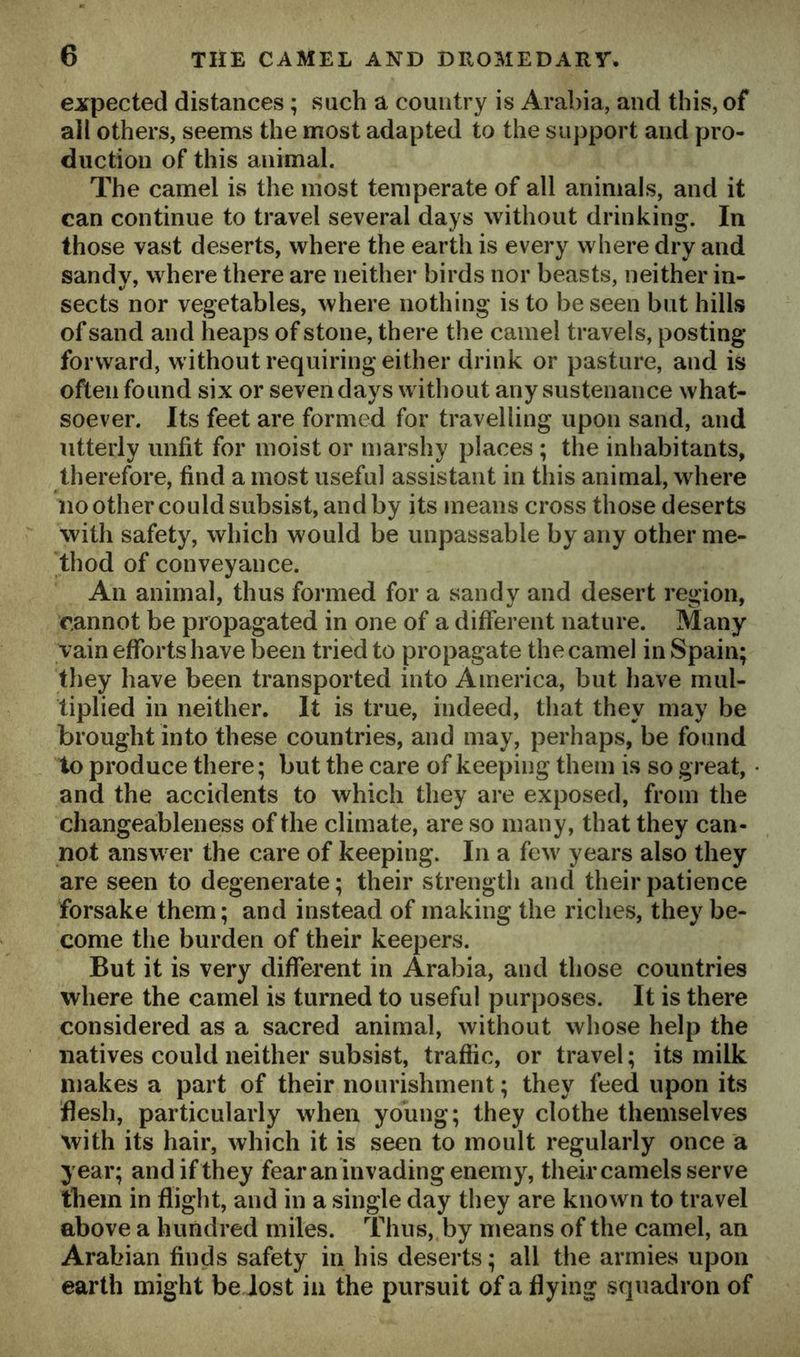 expected distances; such a country is Arabia, and this, of all others, seems the most adapted to the support and pro- duction of this animal. The camel is the most temperate of all animals, and it can continue to travel several days without drinking. In those vast deserts, where the earth is every where dry and sandy, where there are neither birds nor beasts, neither in- sects nor vegetables, where nothing is to be seen but hills of sand and heaps of stone, there the camel travels, posting forward, without requiring either drink or pasture, and is often found six or seven days without any sustenance what- soever. Its feet are formed for travelling upon sand, and utterly unfit for moist or marshy places ; the inhabitants, therefore, find a most useful assistant in this animal, where no other could subsist, and by its means cross those deserts with safety, which would be impassable by any other me- thod of conveyance. All animal, thus formed for a sandy and desert region, cannot be propagated in one of a different nature. Many vain efforts have been tried to propagate the camel in Spain; they have been transported into America, but have mul- tiplied in neither. It is true, indeed, that they may be brought into these countries, and may, perhaps, be found to produce there; but the care of keeping them is so great, and the accidents to which they are exposed, from the changeableness of the climate, are so many, that they can- not answer the care of keeping. In a few years also they are seen to degenerate; their strength and their patience forsake them; and instead of making the riches, they be- come the burden of their keepers. But it is very different in Arabia, and those countries where the camel is turned to useful purposes. It is there considered as a sacred animal, without whose help the natives could neither subsist, traffic, or travel; its milk makes a part of their nourishment; they feed upon its flesh, particularly when young; they clothe themselves with its hair, which it is seen to moult regularly once a year; and if they fear an invading enemy, their camels serve them in flight, and in a single day they are known to travel above a hundred miles. Thus,.by means of the camel, an Arabian finds safety in his deserts; all the armies upon earth might be dost in the pursuit of a flying squadron of
