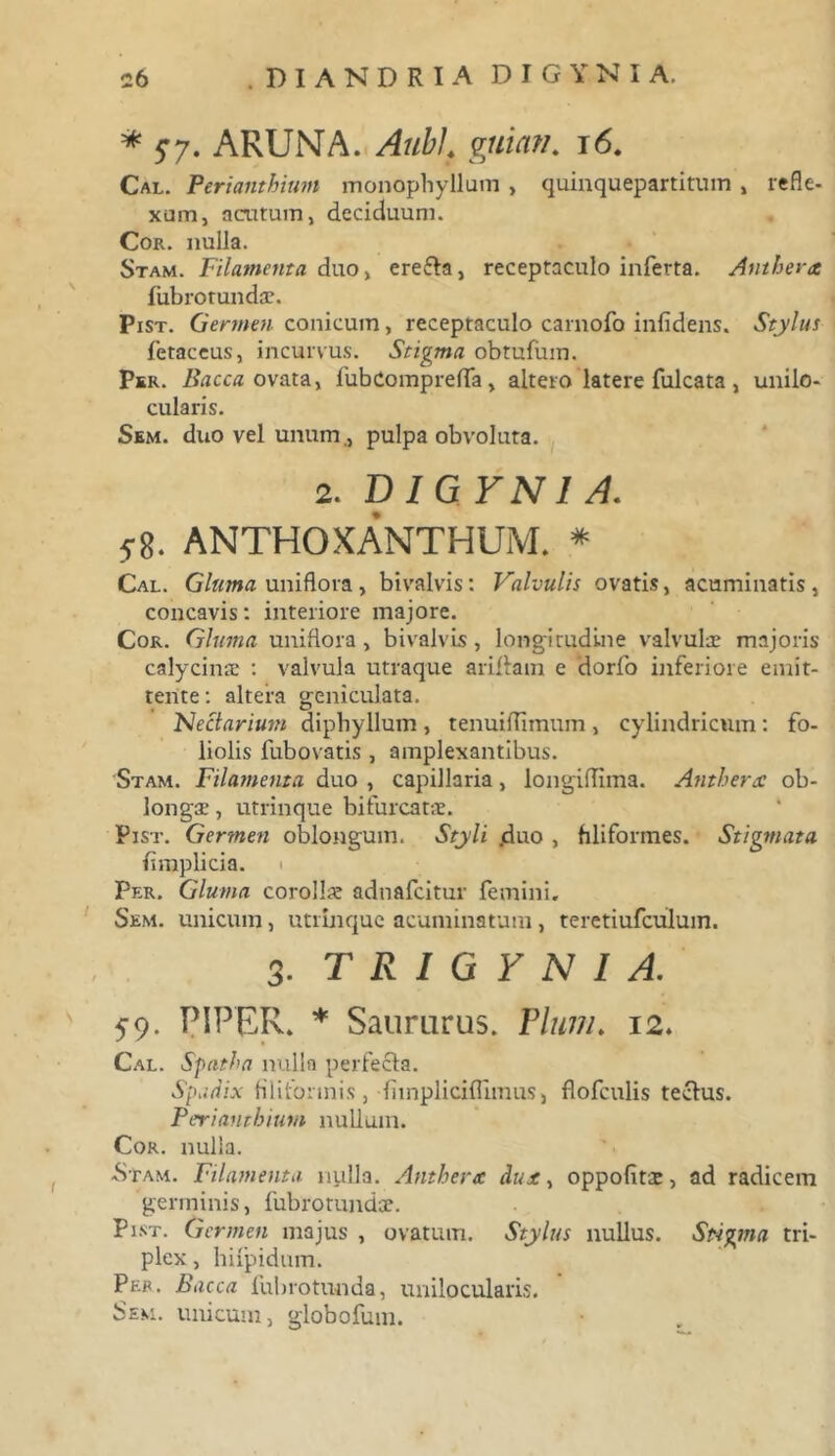 * 57. ARUNA. Aubi vuia?!. 16. Cal. Perianthium monophyllum , quinquepartitum , refle- xum, acutum, deciduum. Cor. nulla. Stam. Filamenta duo, erefta, receptaculo inferta. Anthera {iib rotundae. Pist. Germen conicum, receptaculo carnofo infidens. Stylus fetaccus, incurvus. Stigma obtufiim. Per. Bacca ovata, fubcompreffa, altero latere fulcata , unilo- cularis. Sem. duo vel unum., pulpa obvoluta. 2. D1VYN1A. 58. ANTHOXANTHUM. * Cal. Gluma uniflora, bivalvis: Valvulis ovatis, acuminatis, concavis: interiore majore. Cor. Gluma uniflora, bivalvis, longitudine valvulae majoris calycinae : valvula utraque ariftam e dorfo inferiore emit- tente: altera geniculata. 'Nectarium diphyllum , tenuilTimum , cylindricum: fo- liolis fubovatis , amplexantibus. Stam. Filamenta duo , capillaria, longiflima. Anthera ob- longae, utrinque bifurcatae. Pist. Germen oblongum. Styli .duo , filiformes. Stigmata {impii cia. ■ Per. Gluma corollae adnafcitur femini. Sem. unicum, utrinque acuminatum, teretiufculum. 3. T R I G Y N I A. 59. PIPER. * Saururus. Pium. 12. Cal. Spatha nulla perfecta. Spadix filiformis, fiinpliciflimus, flofculis tectus. Perianthium nullum. Cor. nulla. Stam. Filamenta nulla. Antherx dux, oppofits, ad radicem germinis, fubrotundae. Pist. Germen majus , ovatum. Stylus nullus. Stigma tri- plex , hnpidum. Per. Bacca fubrotunda, unilocularis. Sem. unicum, globofum.