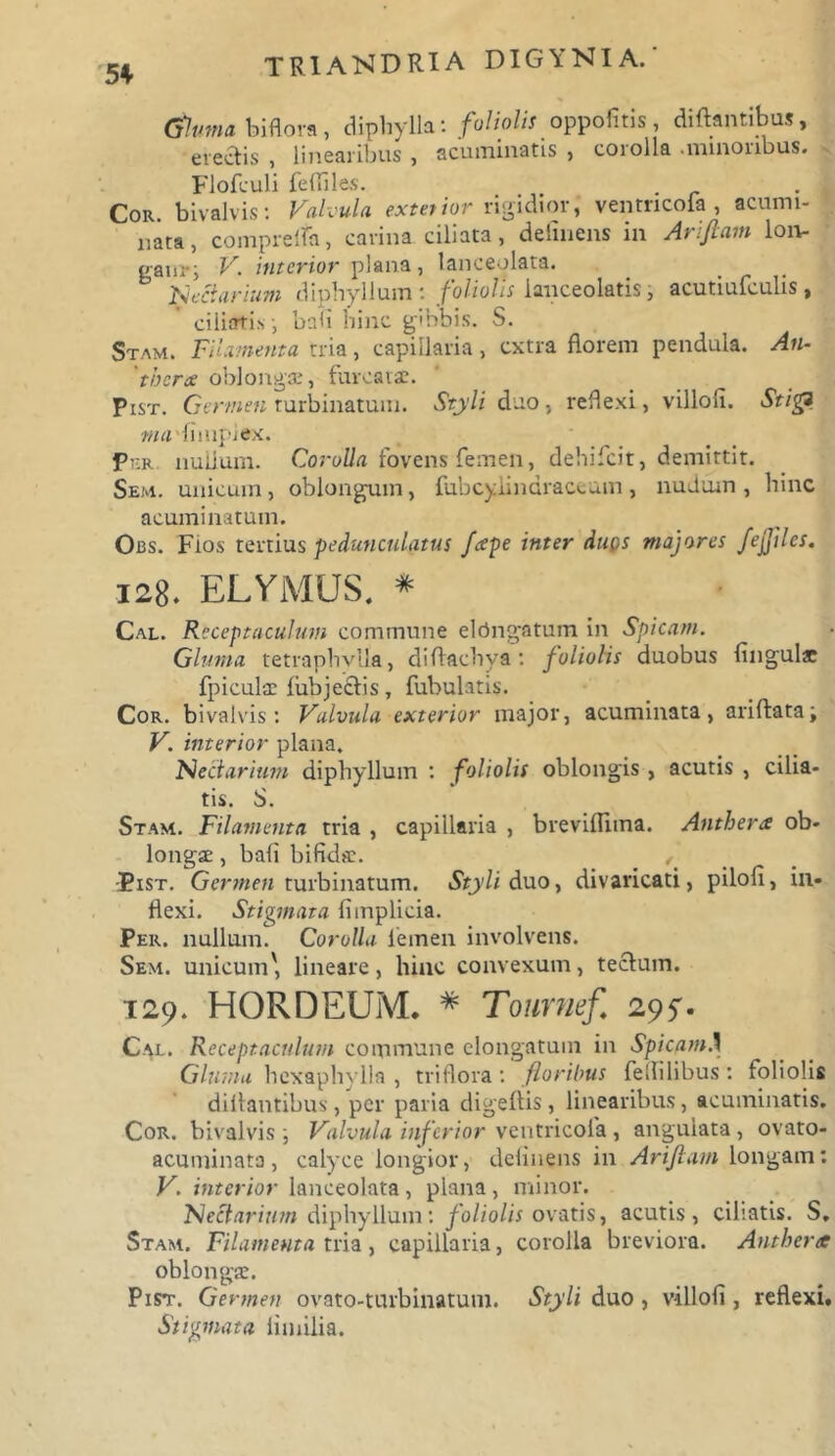 Gluma biflora, di phy 11 a: foliolis oppofitis, diftantibus, erectis , linearibus , acuminatis , corolla .minoribus. - Flofculi fefiiles. Cor. bivalvis: Valvula extetior rigidior, ventricola, acumi- nata, comprelfa, carina ciliata, defluens in Ariftam loiv gaur; V. interior plana, lanceolata. KeSarium diphyllum : foliolis lanceolatis, acutiufculis, ciliatis •, bali hinc gibbis. S. Stam. Filamenta tria, capillaria, extra florem pendula. An- 'theree oblongae, furcatae. Pist. Germen turbinatum. Styli duo, reflexi, villoli. Stigt mtv fimpiex. P’-.r nullum. Corolla fovens femen, dehifeit, demittit. Sem. unicum, oblongum, fubcylindraceam, nudum, hinc acuminatum. Obs. Fios tertius pedunculatus fetpe inter duQS majores fejjiles. 128. ELYMUS. * Cal. Receptaculum commune eldngatum in Spicam. Gluma tetraphvlla, diftachya: foliolis duobus lingulae fpiculae lubje£tis, fubulatis. Cor. bivalvis: Valvula exterior major, acuminata, ariftata; V. interior plana. Neciarium diphyllum : foliolis oblongis , acutis , cilia- tis. S. Stam. Filamenta tria , capillaria , brevillima. Anthera ob- longae , bali bifidae. -Pist. Germen turbinatum. Styli duo, divaricati, piloli, in- flexi. Stigmata liinplicia. Per. nullum. Corolla lemen involvens. Sem. unicum', lineare, hinc convexum, tectum. 129. HORDEUM. # Tournef. 295. Cal. Receptaculum commune clongatuin in Spicam Gluma hexaphylla , triflora: floribus feliilibus: foliolis dillantibus, per paria digeltis, linearibus, acuminatis. Cor. bivalvis , Valvula inferior ventricola, angulata, ovato- acuminata, calyce longior, delinens in Ariftam longam: V. interior lanceolata, plana, minor. Fleclarum diphyllum: foliolis ovatis, acutis, cibatis. S. Stam. Filamenta tria , capillaria, corolla breviora. Anthera oblongae. Pist. Germen ovato-turbinatum. Styli duo , villoli, reflexi. Stigmata iimilia.