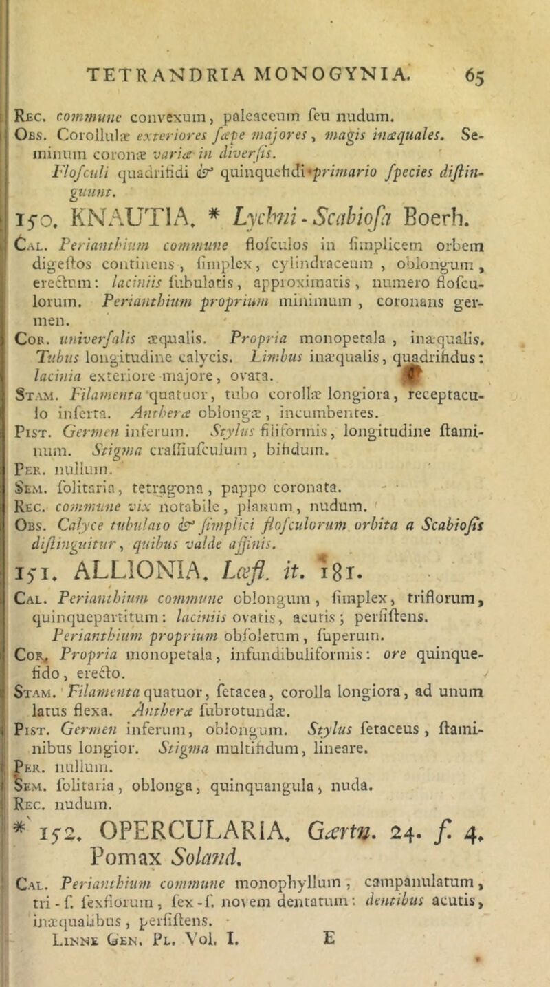 Rec. commune convexum, palenceum feu nudum. Obs. Corollulae exteriores fape majores , magis inaequales. Se- minum coronae varia in diverfts. Flo/culi quadrifidi & quinquefidi'primario fpecies difiin- guunt. 15-0. KNAUT1A. * Lychni - Scabiofa Boerh. Cal. Perianthium commune flofculos in liinplicem orbem digeftos continens , fimplex, cylindraceum , oblongum , erectum: laciniis fubulatis, approximatis, numero do {cu- lorum. Perianthium proprium minimum , coronans ger- men. Cor. univerfalis aequalis. Propria monopetala , inaequalis. Tubus longitudine calycis. Limbus inaequalis, quadrifidus: lacinia exteriore majore , ovata. Stam. Filamenta'quatuor, tubo corollae longiora, receptacu- lo inferta. Anrhera oblongae, incumbentes. Pist. Germen inferum. Stylus filiformis, longitudine flami- num. Stigma cralliufculum , bihdum. Per., nullum. $em. folitsria, tetragona, pappo coronata. Rec. commune vix notabile, planum, nudum. Obs. Calyce tubulato & ftmplici flofculoruin orbita a Scabiojts dijlinguitur, quibus valde affinis. 15*1, ALLIONIA. Lcefl. it. 181. Cal. Perianthium commune oblongum, fimplex, triflorum, quinquepartitum: laciniis ovatis, acutis; periiftens. Perianthium proprium obfoletum , fuperum. Cor, Propria monopetala, infundibuliformis: ore quinque- fido, eretto. ■/ Stam. Filamenta quatuor, fetacea, corolla longiora, ad unum latus flexa. Anthera fubrotundae. Pist. Germen inferum, oblongum. Stylus fetaceus , flami- nibus longior. Stigma multifidum, lineare. Per. nullum. *Sem. folitaria, oblonga, quinquangula, nuda. Rec. nudum. * 15-2. OPERCULAKIA. G.m». 24. / 4. Porrmx Soland. Cal. Perianthium commune monophyllum , campanulatum, tri-f. fexfiorum, fex-f. novem dentatum: dentibus acutis, inaequalibus, periiftens. Linnx Gen. Pl. Yoi, I. E