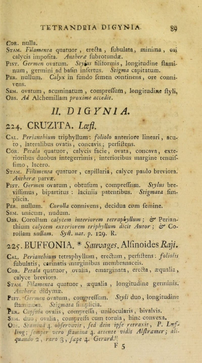 Cor. nulla. Stam. Filamenta quatuor , erefla , fubulata, minima , ovi. calycis impolita. Anthera fubrot undae. Pist. Germen ovatum. Stytys filiformis, longitudine flami- num, germini,ad baiin infertus. Stigma capitatum. Per. nullum. Calyx in fundo femen continens, ore conni- vens. Sem. ovatum , acuminatum , compreflum, longitudine flyli, Obs. Ad Alchemillam -proxime accedit. 11 DIGYNIA. 224. CRUZITA. Lcefl. Cal. Perianthium triphyllum: foliolo anteriore lineari, acu- to, lateralibus ovatis, concavis.; perfiflens. Cor. Petala quatuor, calycis facie, ovata, concava, exte- rioribus duobus integerrimis; interioribus margine tenuif- limo, lacero. Stam. Fihmenta quatuor , capillaria, calyce paulo breviora. Anthera parvae. Pist. Germen ovatum , obtufum , comprelTnm. Stylus bre- viffimus, bipartitus : laciniis patentibus. Stigmata fim- plicia. Per. nullum. Corolla connivens, decidua cum femine. Sem. unicum, nudum. Obs. Corollam calycem interiorem tetraphyllum; Perian- thium calycem exteriorem triphyllum dicit Autor; & Co- rollam nullam. SyA. nat. p. 129. R. a2f. BUFFONIA. * Sauvages. AlfinoidesRaji. Cal. Perianthium tetraphyllum, erectum , perfiflens; foliolis fubulatis, carinatis marginibus membranaceis. Cor. Petala quatuor, ovalia, emarginata, ere£la, ecqualia, calyce breviora. Stam Filamenta quatuor , ecqualia , longitudine germinis. Anthera didymae. , Pist. 'Germen ovatum, conjpreffum. Styli duo , longitudine flaminum. Stigmata fimplicia. Ter- Cuppula ovalis , compreffa, unilocularis, bivalvis. Sem. duo, ovalia, comprella cum torula, hinc convexa. Obs. Stamiud 4 obferravit, fed dein ipfe retraxit, P. Lnf- ling; fehper vero flamina 4 attente vidit Alflramer; ali- quando 2 , raro 3 , Jape 4. GerardP