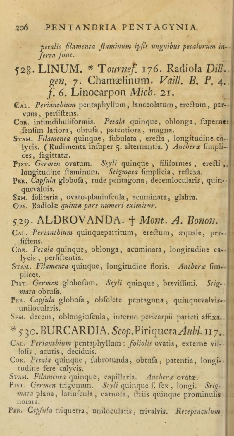 petalis filamenta flaminum ipfis unguibus petalorum in- j ferta funt. 528- LINUM. # Tournef. 176. Radiola Dill. j ge?i. 7. Chamaelinum. VailU B. Pt 4. f. 6. Linocarpon Mich. 21. Cal. Perianthinm pentaphylluin, lanceolarum, eredum, par- vum , perfiftens. Cor. infundibuliformis. Petala quinque, oblonga, fupemttj fenlim latiora, obtufa, patentiora, magna. Stam. Filamenta quinque, Tubulata, erecta , longitudine ca- lycis. (Rudimenta infuper 5. alternantia.) Antbera fimpli- ces, fagittatae. Pist. Germen ovatum. Styli quinque , filiformes , erefti longitudine flaminum. Stigmata fimplicia, reflexa. Per. Capfula globofa, rude pentagona, decemlocularis, quin* quevaluis. Sem. folitaria, ovato-planiufcula, acuminata, glabra. Obs. Radiolae quinta pars numeri eximitor. 529. ALDROVANDA. f Mont. A. Bo?ion. Cai.. Perianthinm quinquepartitum, erectum, aequale, per- fiftens. Cor. quinque, oblonga, acuminata, longitudine ca*-1 lycis , perfiftentia. Stam. Filamenta quinque, longitudine floris. Antbera fim- I plices. Pist. Germen globofum. Styli quinque , breviflimi. Stig- mata obtufa. Pek. Capfula globofa , obfolete pentagona, quinqucvalvis- unilocularis. Sem. decem, oblongiufcula, interno pericarpii parieti affixa, j * S 3 o. B U R C A R DIA. Sc op. P i r i q u e t a A u bl. 117 „ r Cal. Perianthinm pentaphylluin : foliolis ovatis, externe vil- I !ofi.v, acutis, deciduis. Cor. Petala quinque, fubrotunda, obtufa, patentia, longi- tudine fere calycis. Stam. Filamenta quinque, capillaria. Antbera ovatae. Pist. Germen trigonum. Styli quinque f. fex , longi. Stig- ' mata plana, latiufcula, carnoia, fhiis quinque prominulis notata. Per. Capfula triquetra, unilocularis, trivalvis. Receptaculum