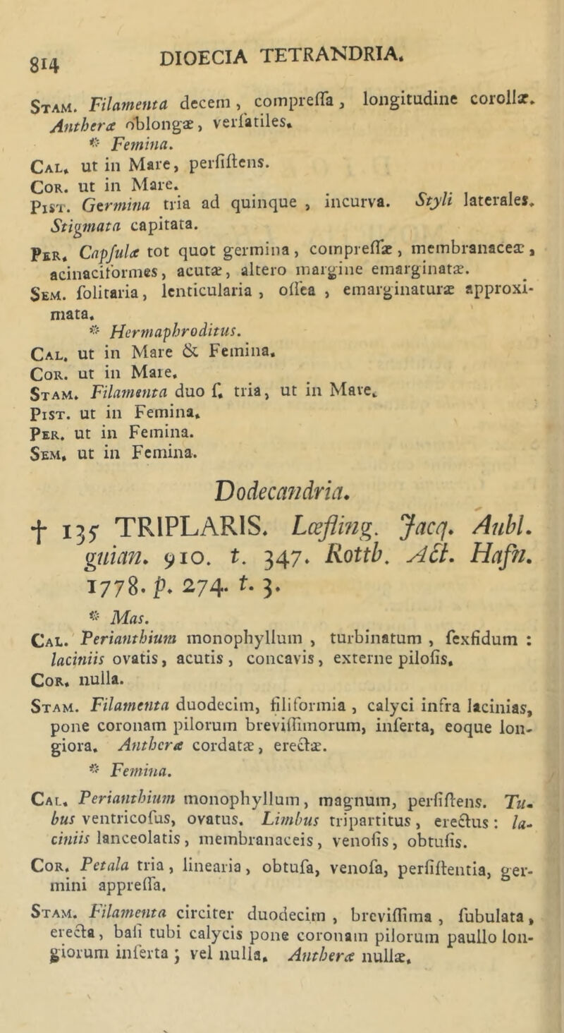 814 Stam. Filamenta decem , compreda, longitudine corollae. Anthera oblongae, verfatiles. * Femina. Cal, ut in Mare, perfidens. Cor. ut in Mare. Pist. Germina tria ad quinque , incurva. Styli laterales. Stigmata capitata. Per, Capfula tot quot germina , compredae, membranacea;, acinaciformes, acuta;, altero margine emarginate. Sem. folitaria, lenticularia , odea , «marginaturae approxi- mata. * Hermaphroditus. Cal. ut in Mare & Femina. Cor. ut in Mare, Stam. Filamenta duo f. tria, ut in Mare, Pist. ut in Femina, Per. ut in Femina. Sem, ut in Femina, Dodecandria. •j* 135- TRIPLARIS. Lcefling. Jacq. AubL guian. 910. t. 347. Rottb. Att. Hafii. 1778. f* 274. t. 3. Mas. Cal. Perianthium monophyllum , turbinatum , fexfidum : laciniis ovatis, acutis, concavis, externe pilofis. Cor. nulla. Stam. Filamenta duodecim, filiformia , calyci infra lacinias, pone coronam pilorum brevidimorum, inferta, eoque lon- giora. Anthera cordata;, erectae. * Femina. Cal. Perianthium monophyllum, magnum, perfidens. Tu- bus ventricofus, ovatus. Limbus tripartitus, ereftus : la- ciniis lanceolatis , membranaceis , venofis, obtufis. Cor. Petala tria, linearia, obtufa, venofa, perfidentia, ger- mini appreda. Stam. bilamenta circiter duodecim, breviflima , fubulata, erecta, bafi tubi calycis pone coronam pilorum paullo lon- giorum inferta j vel nulla. Anthera nullae.
